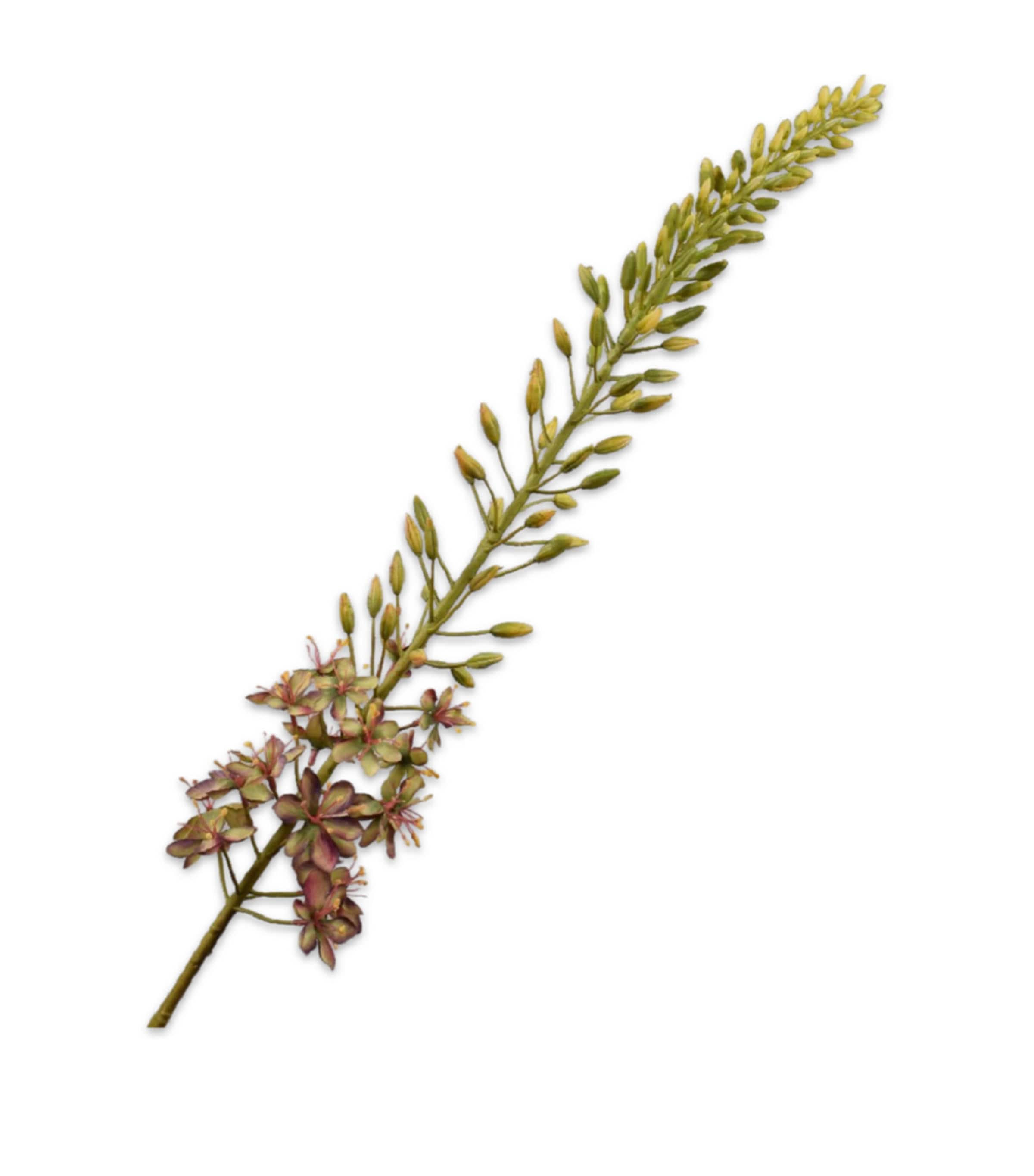 Silk-ka Artificial Eremurus Stem In Green