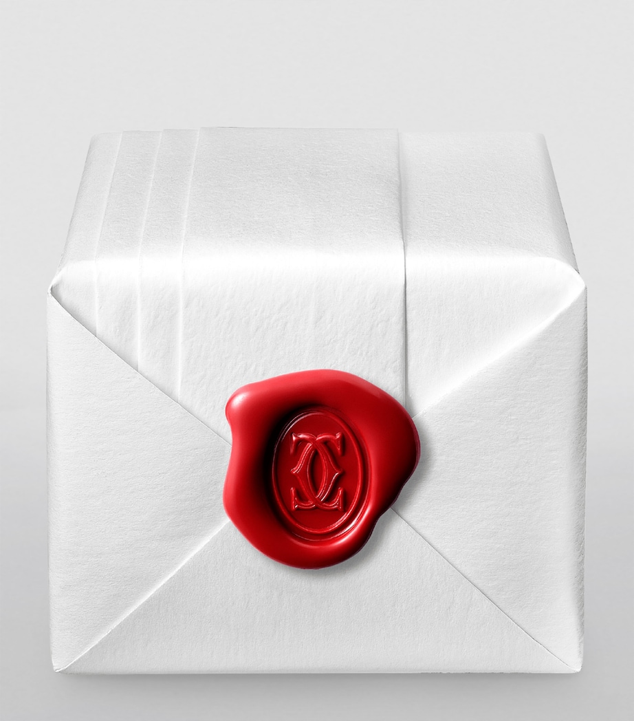 Platinum 1895 Wedding Ring MULTI Image 4