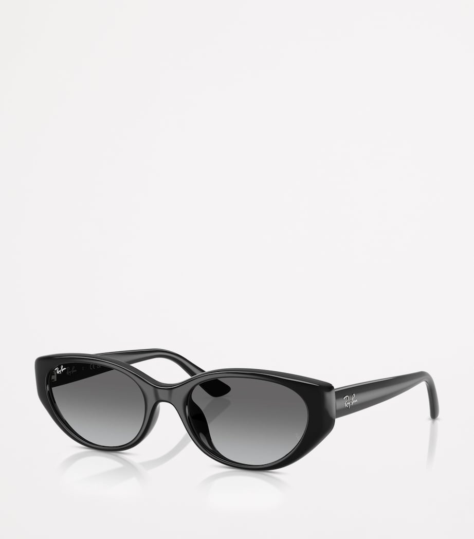 RB4457D Bio-Based Sunglasses 667711 Image 2