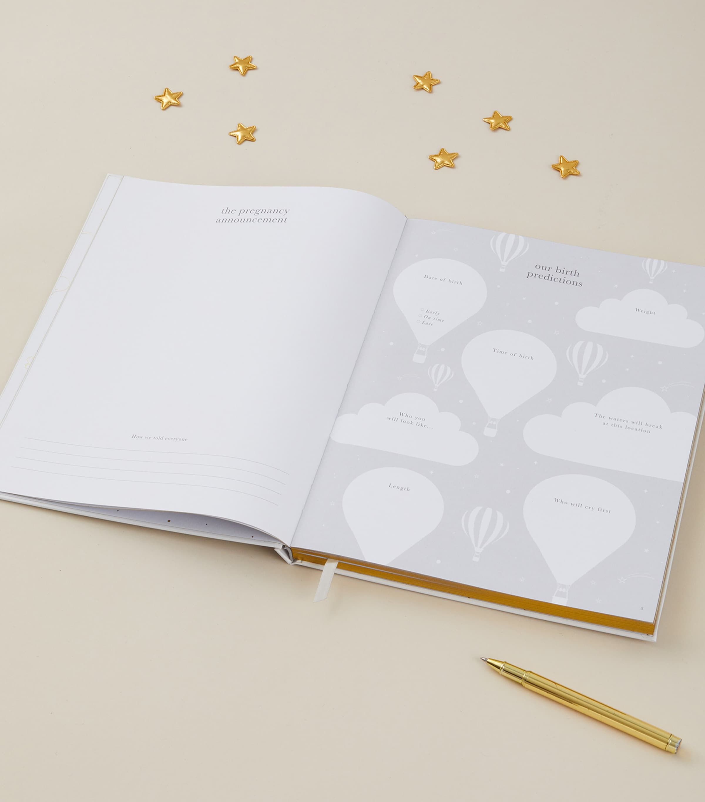 My Pregnancy Journal GREY, GOLD Image 10