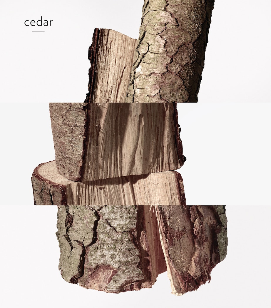 Twilly D'Hermès Ginger Eau de Parfum (85Ml) NO COLOUR Image 7