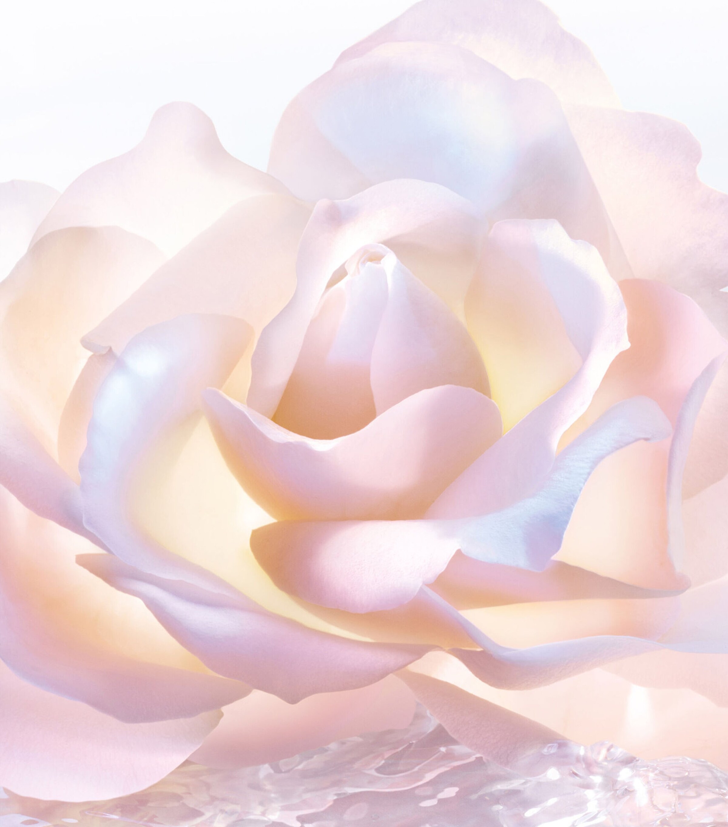 DIOR White Dior Prestige L'Oléo-Essence Lumière (150ml