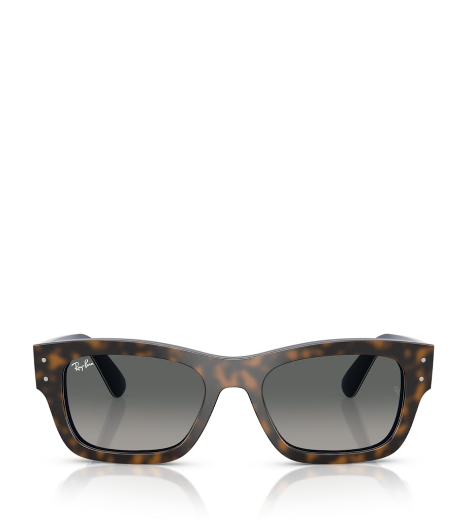Acetate Joseph Sunglasses 140171 Image 1