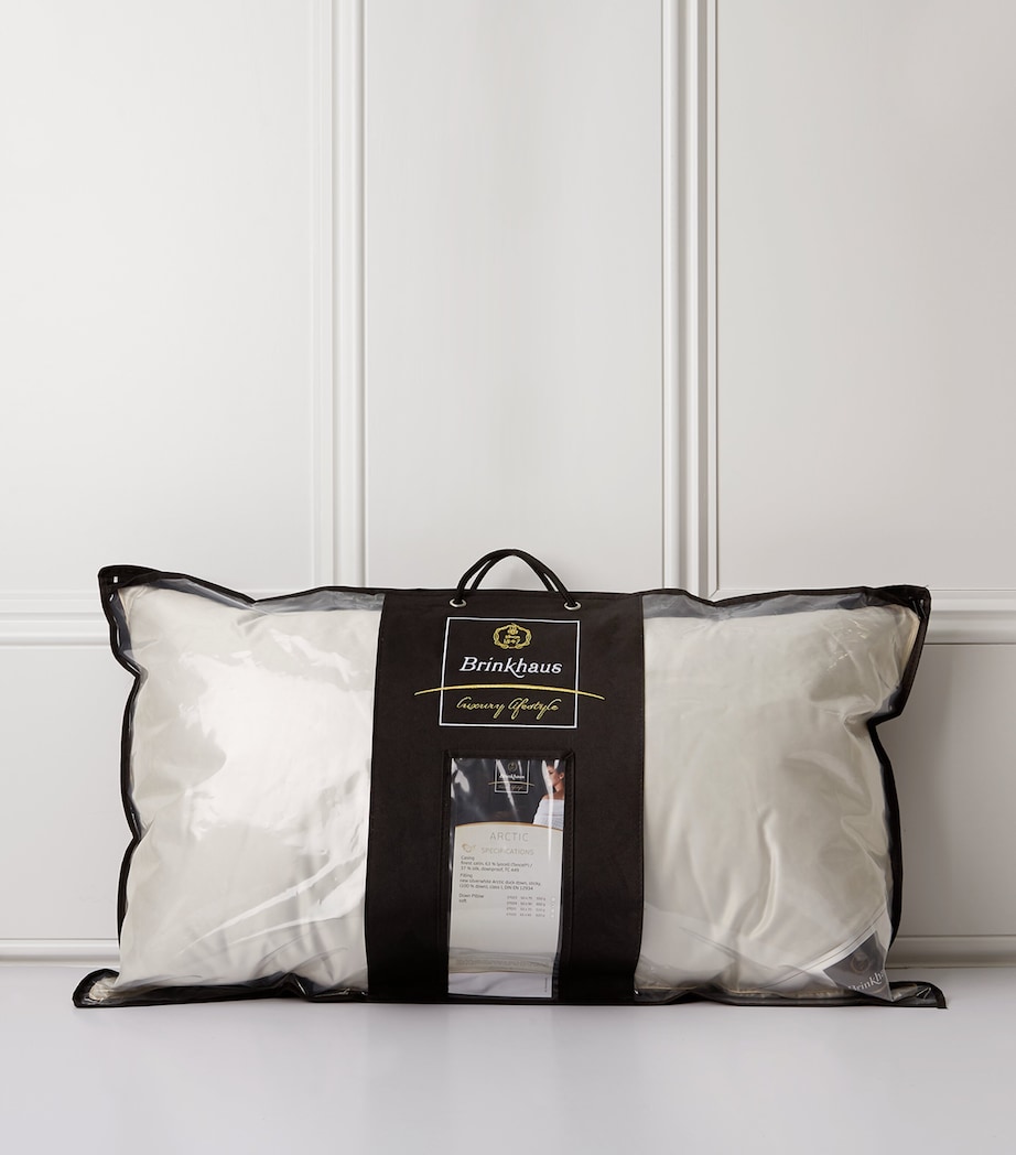 Arctic Duck Down Pillow (50cm x 90cm) IVORY Image 1