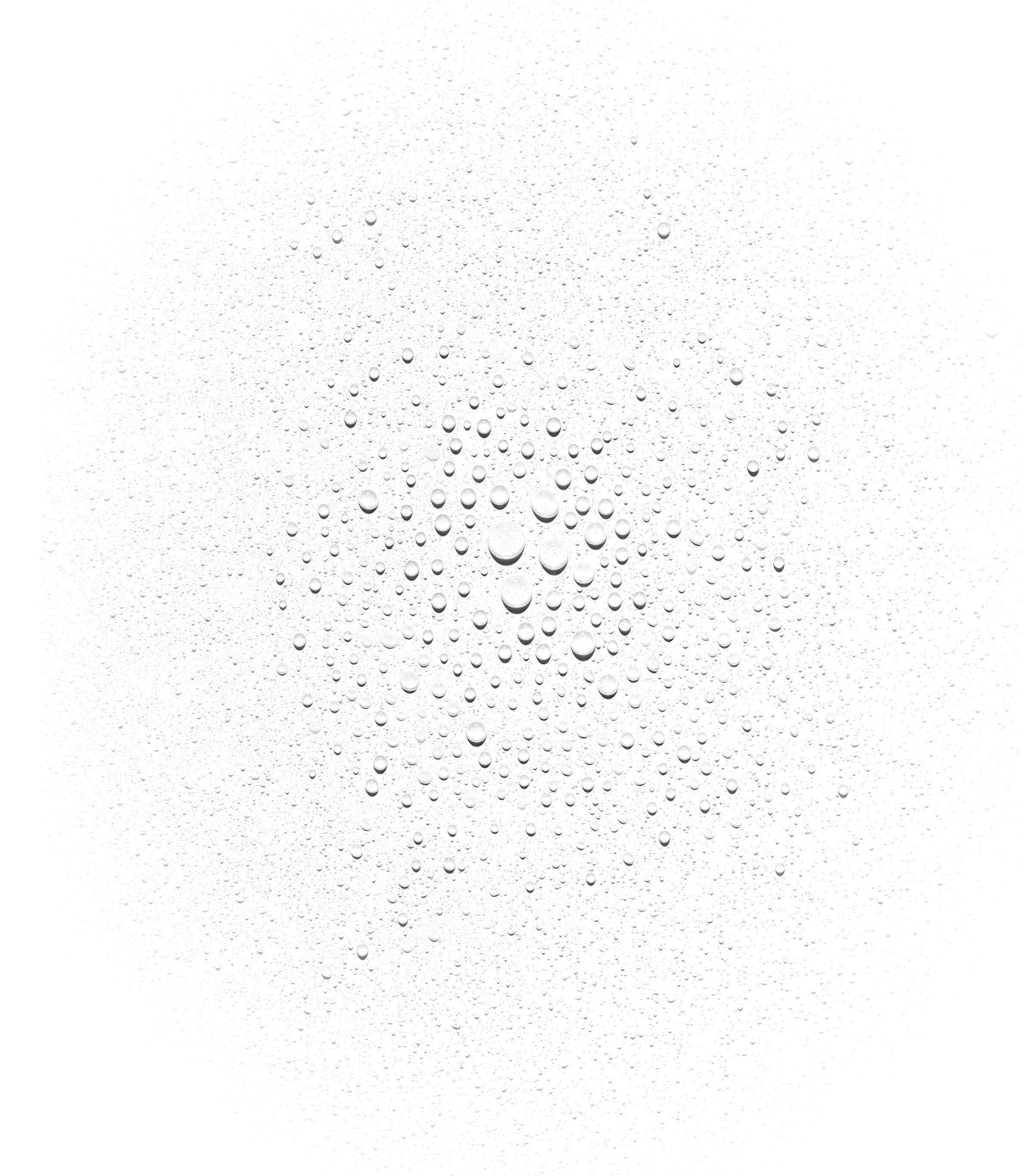 Queen Of Hungary Mist NO COLOUR Image 2