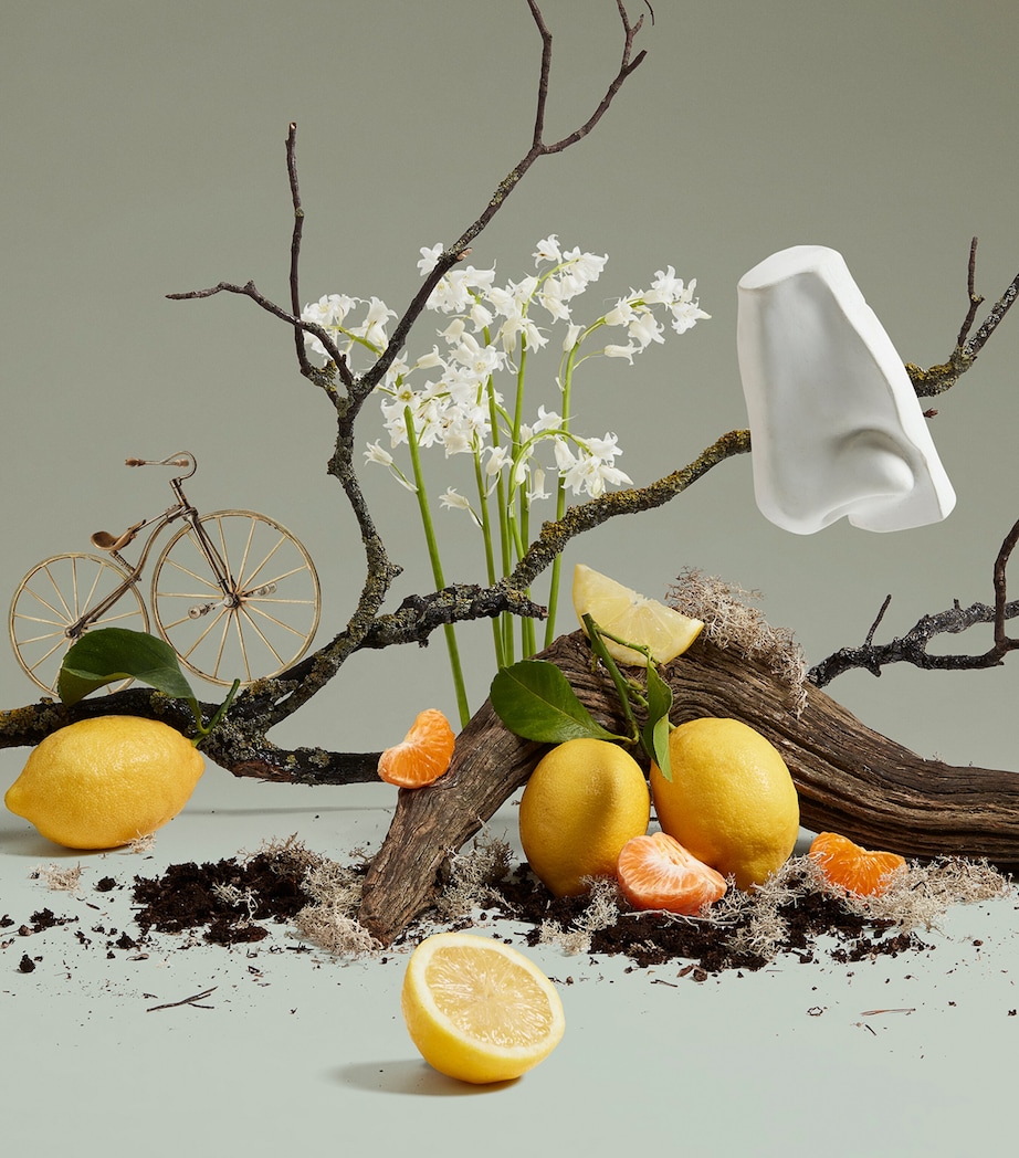 Quercus Hand Cream (75ml) NO COLOUR Image 2