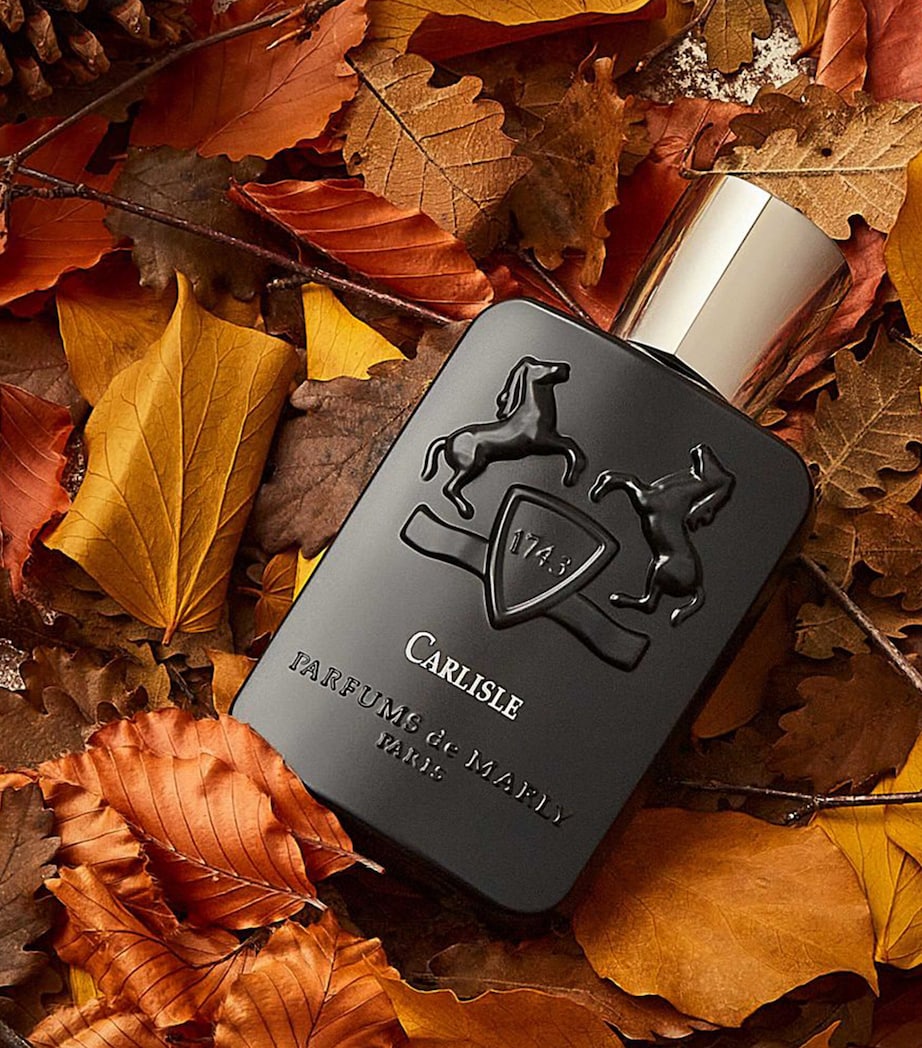 Carlisle Eau de Parfum (125ml) NO COLOUR Image 4