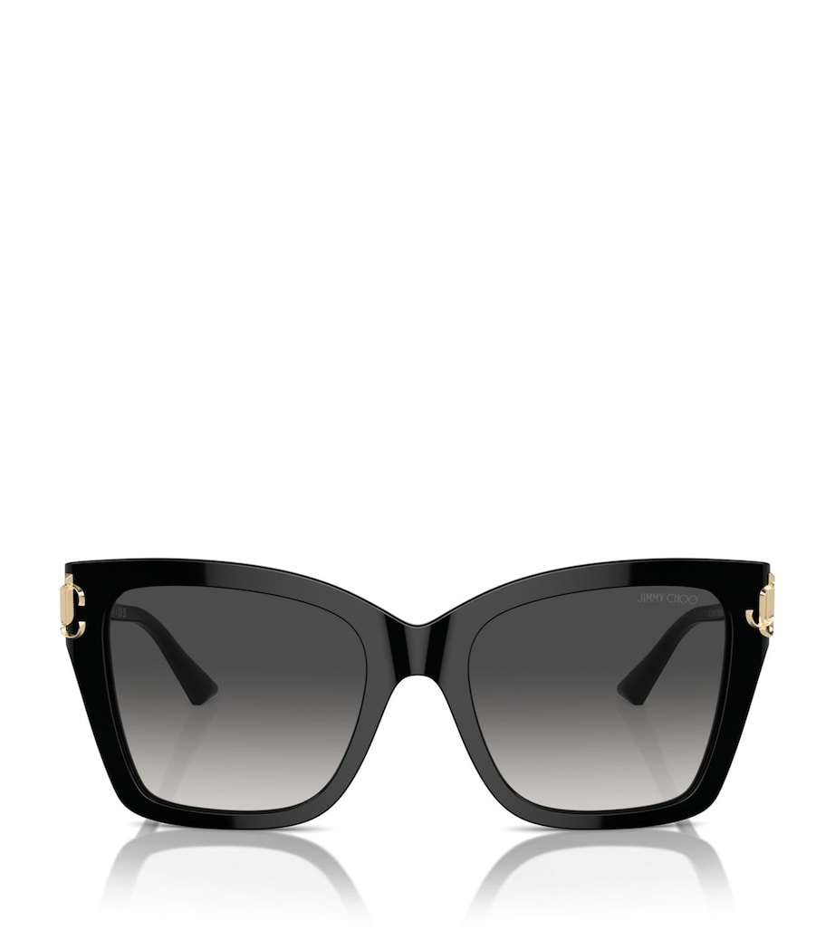 Jimmy Choo Acetate JC5012 Sunglasses Image 1