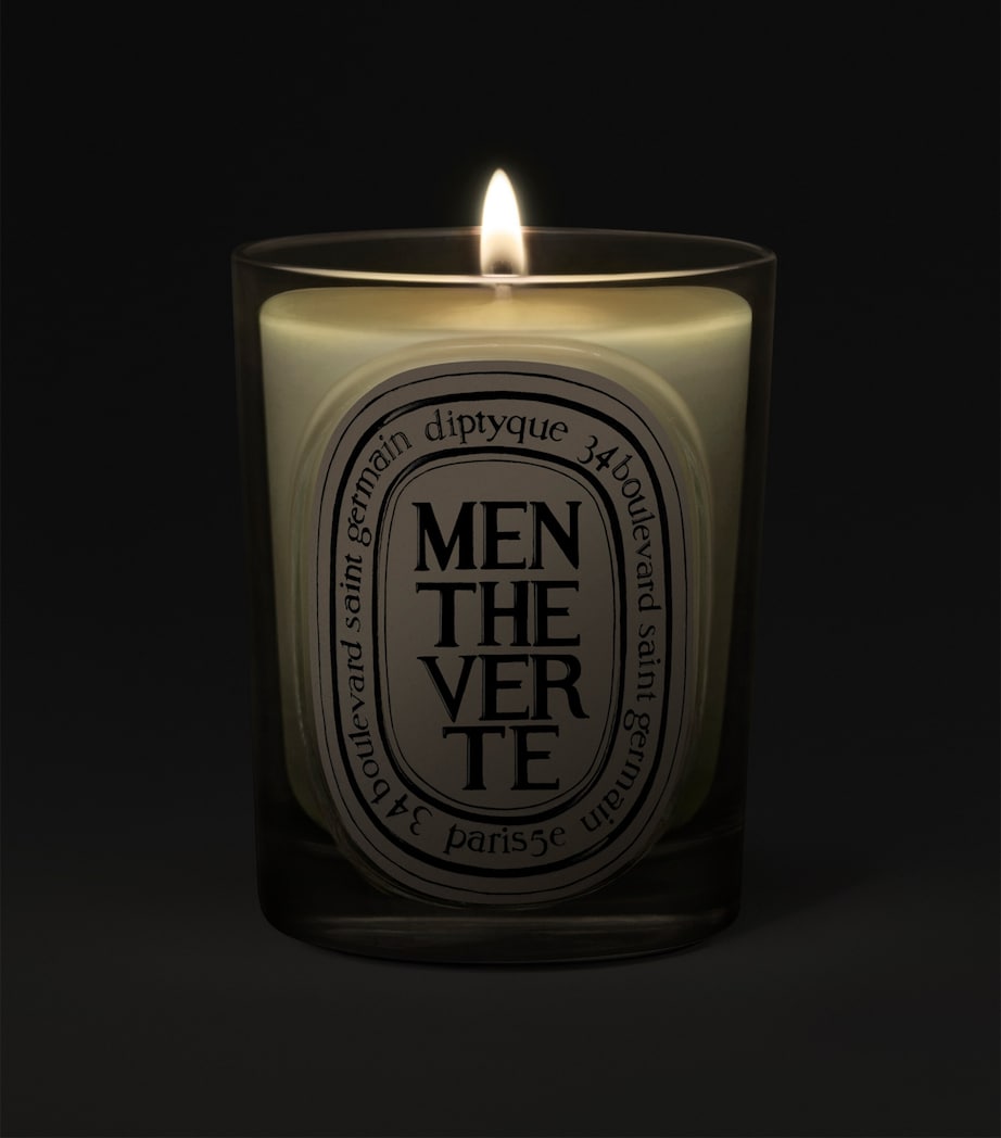 Diptyque Menthe Verte Candle (190g) Image 2