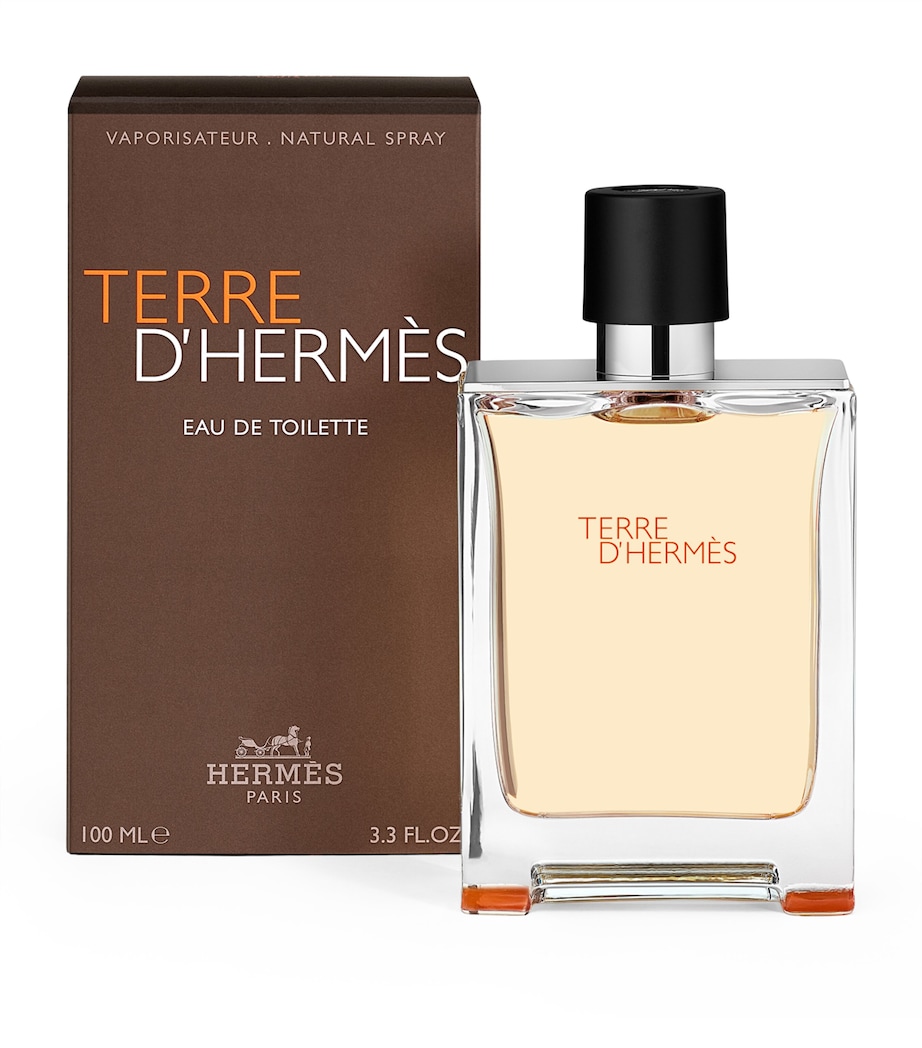 Terre d'Hermès Eau de Toilette (100ml) NO COLOUR Image 6