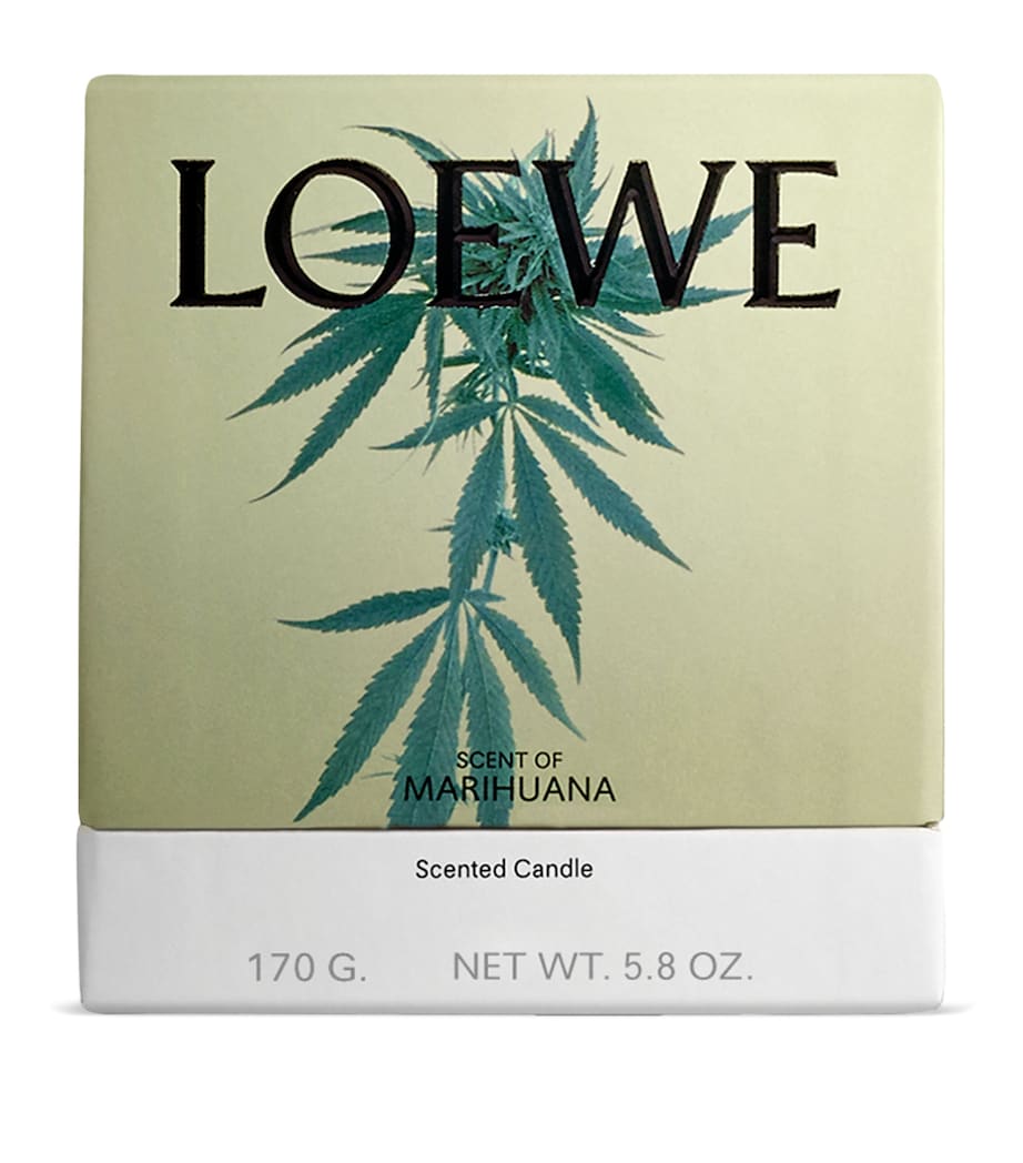 Marihuana Candle (170g) NO COLOUR Image 4
