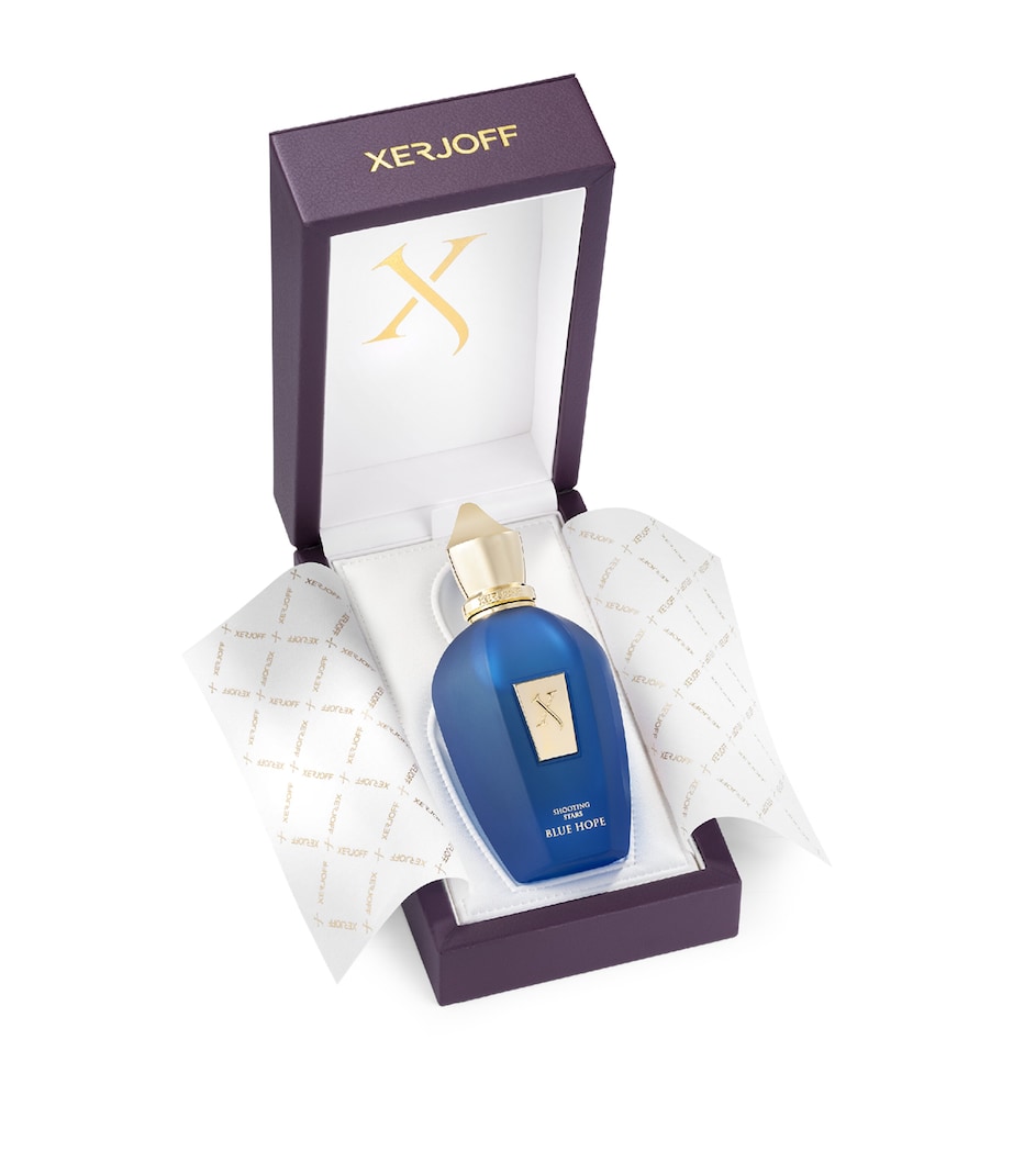 Xerjoff Blue Hope Eau de Parfum (100ml) Image 2