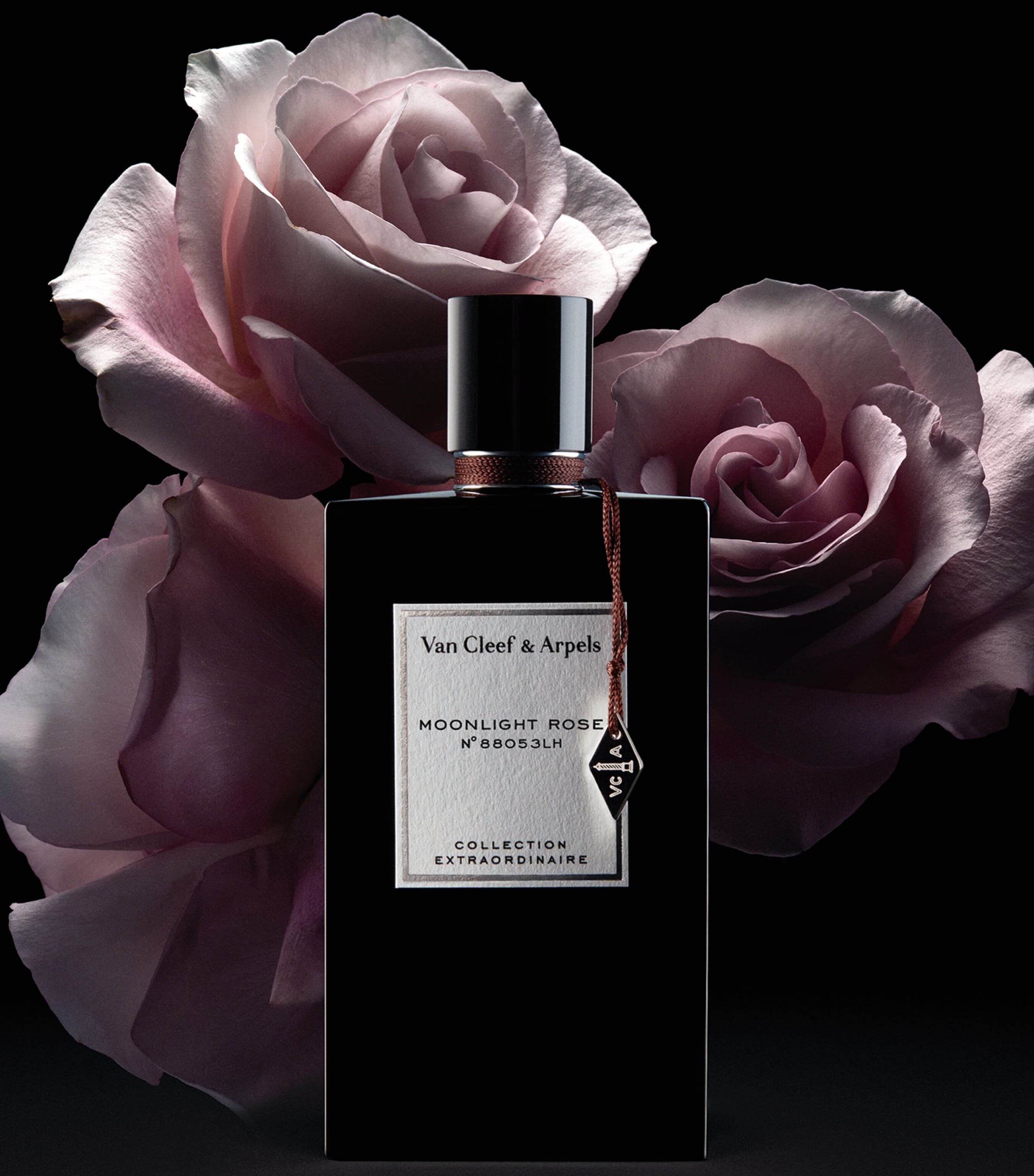 Moonlight Rose Eau de Parfum (75ml) NO COLOUR Image 3