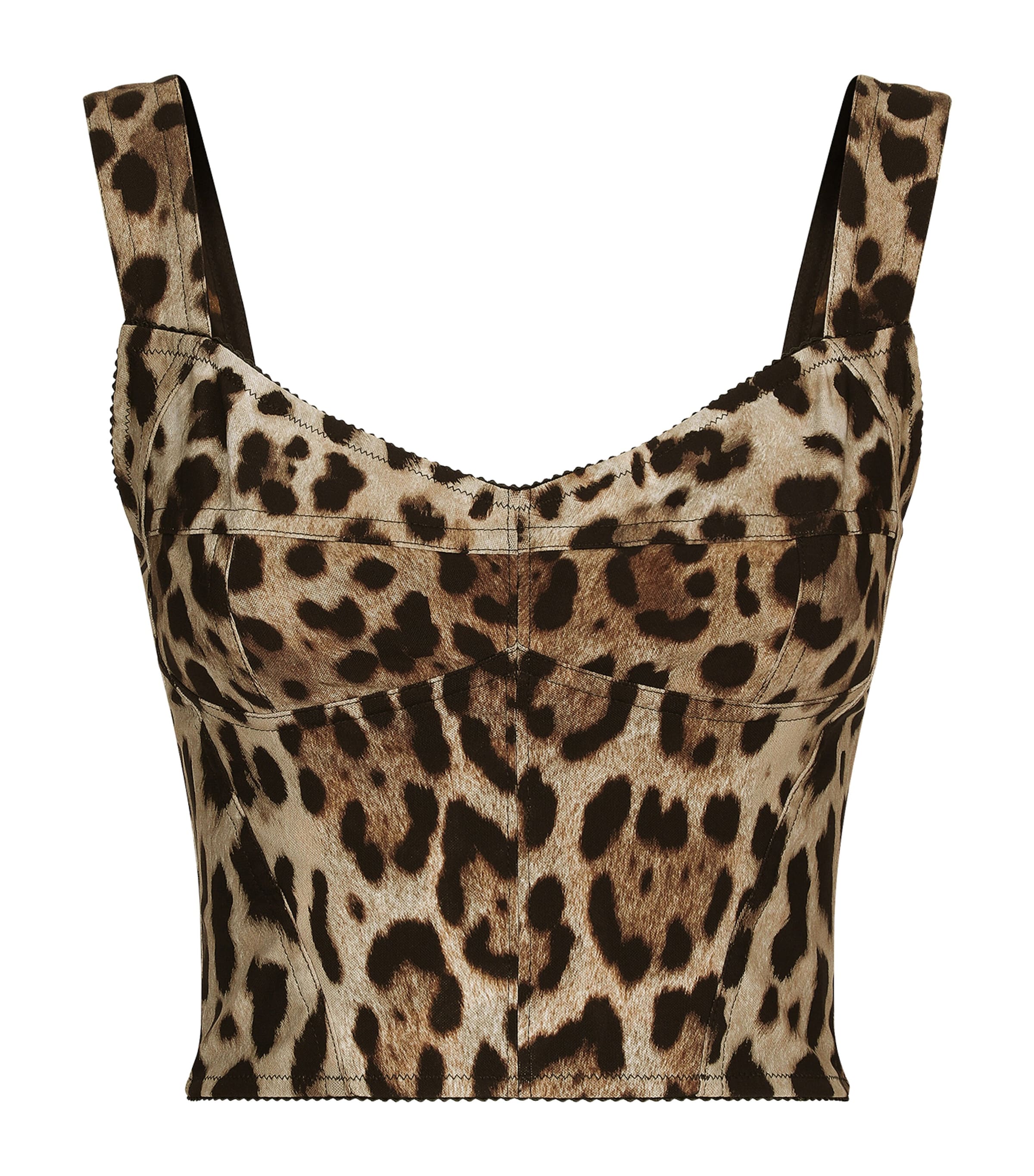 Dolce & Gabbana Leopard-print Charmeuse Bustier Top