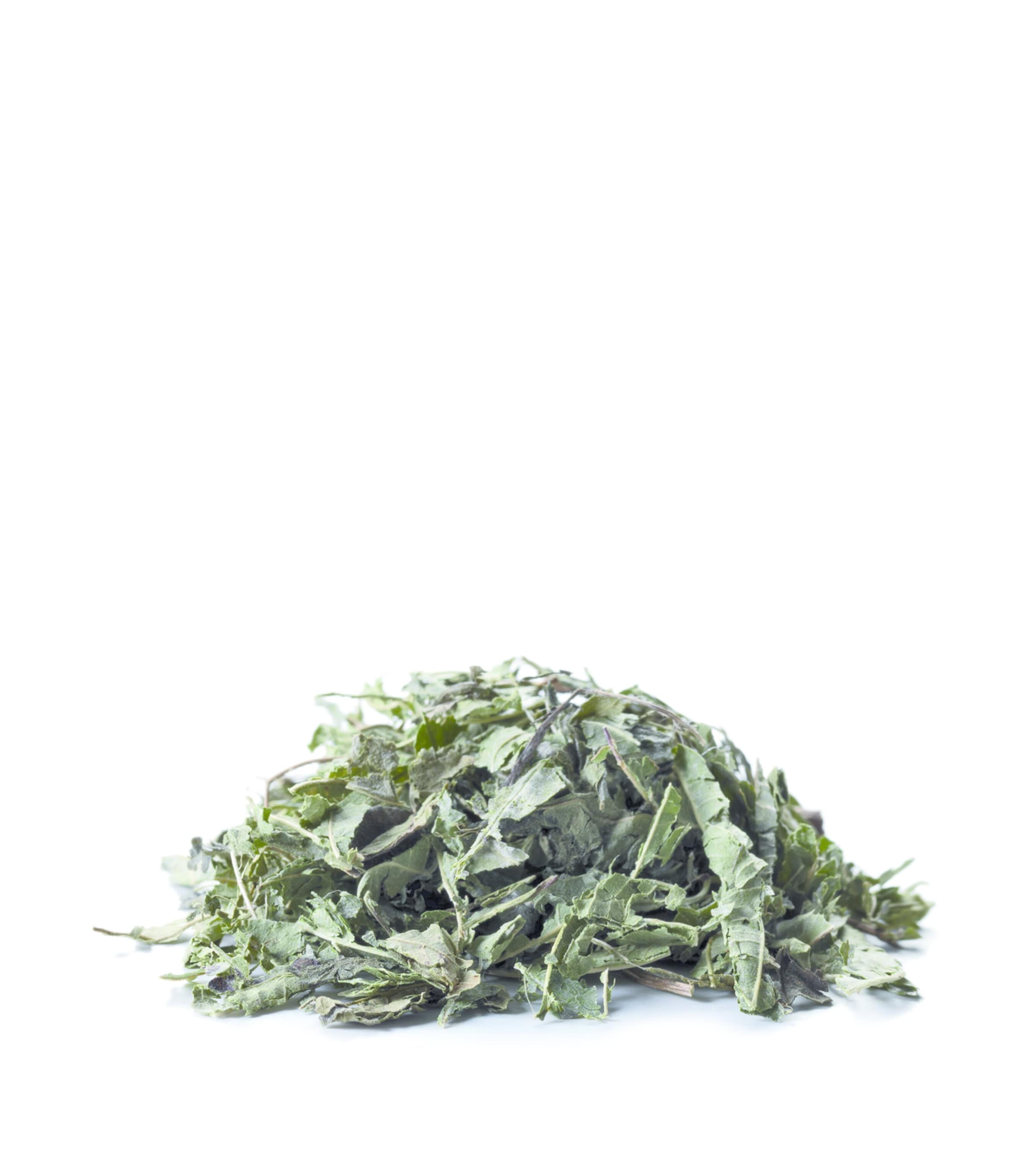 Verbena Tea (20 Bags) NO COLOUR Image 2