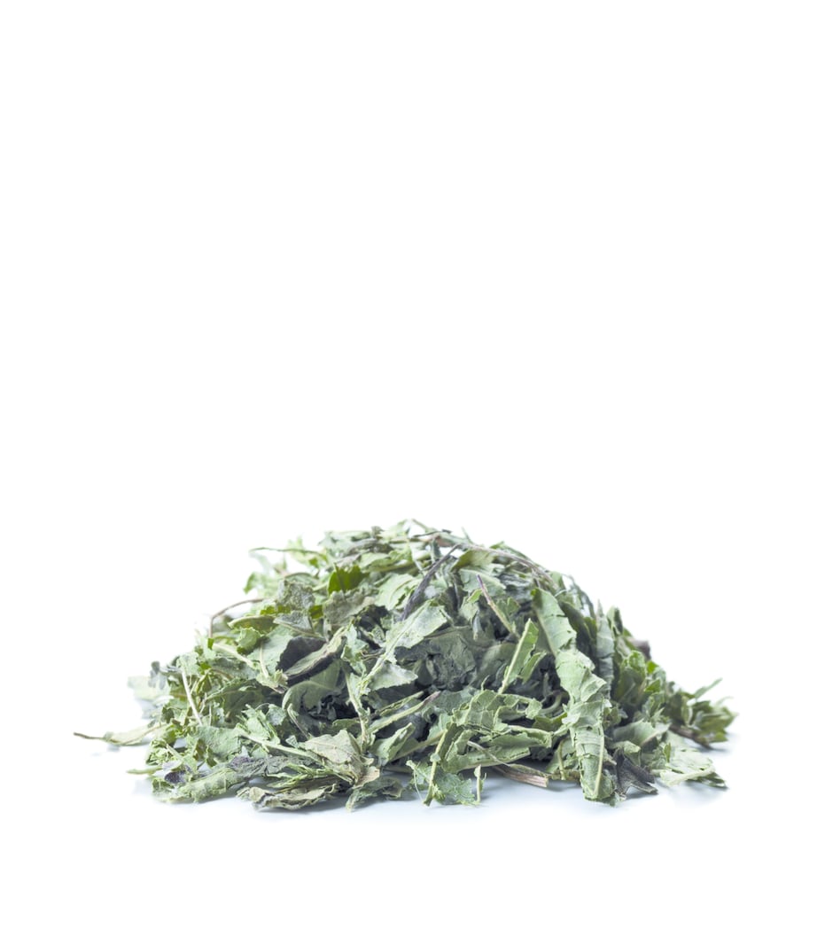 Verbena Tea (20 Bags) NO COLOUR Image 2