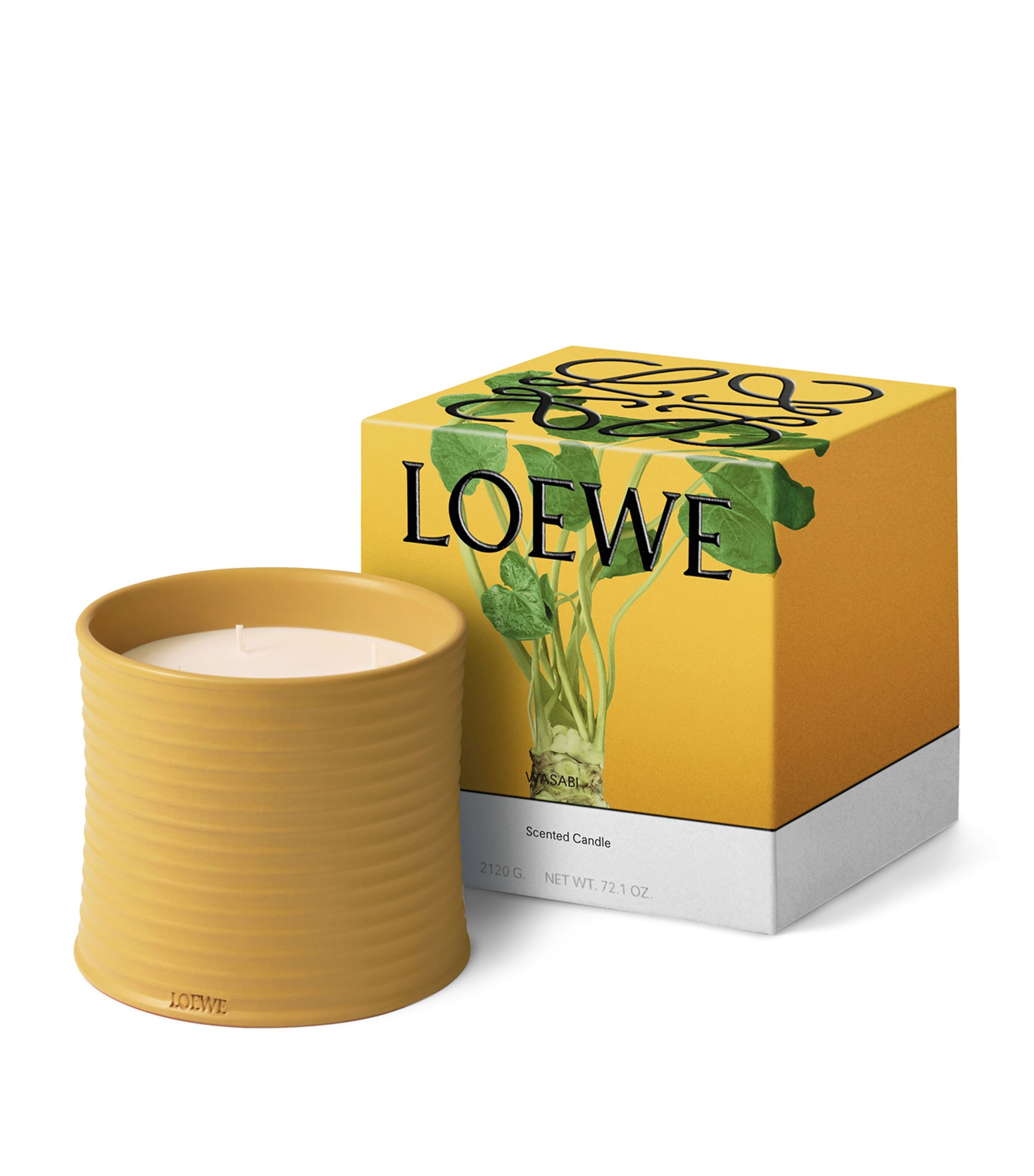 LOEWE Perfumes Large Wasabi Candle (2.1kg) Image 2