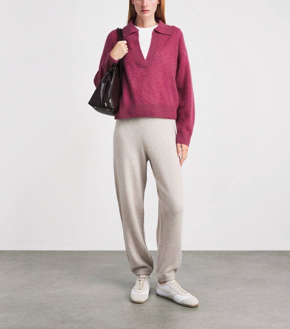 Le Kasha Womens Organic Cashmere Jacksob Polo Sweater Raspberry Image 2