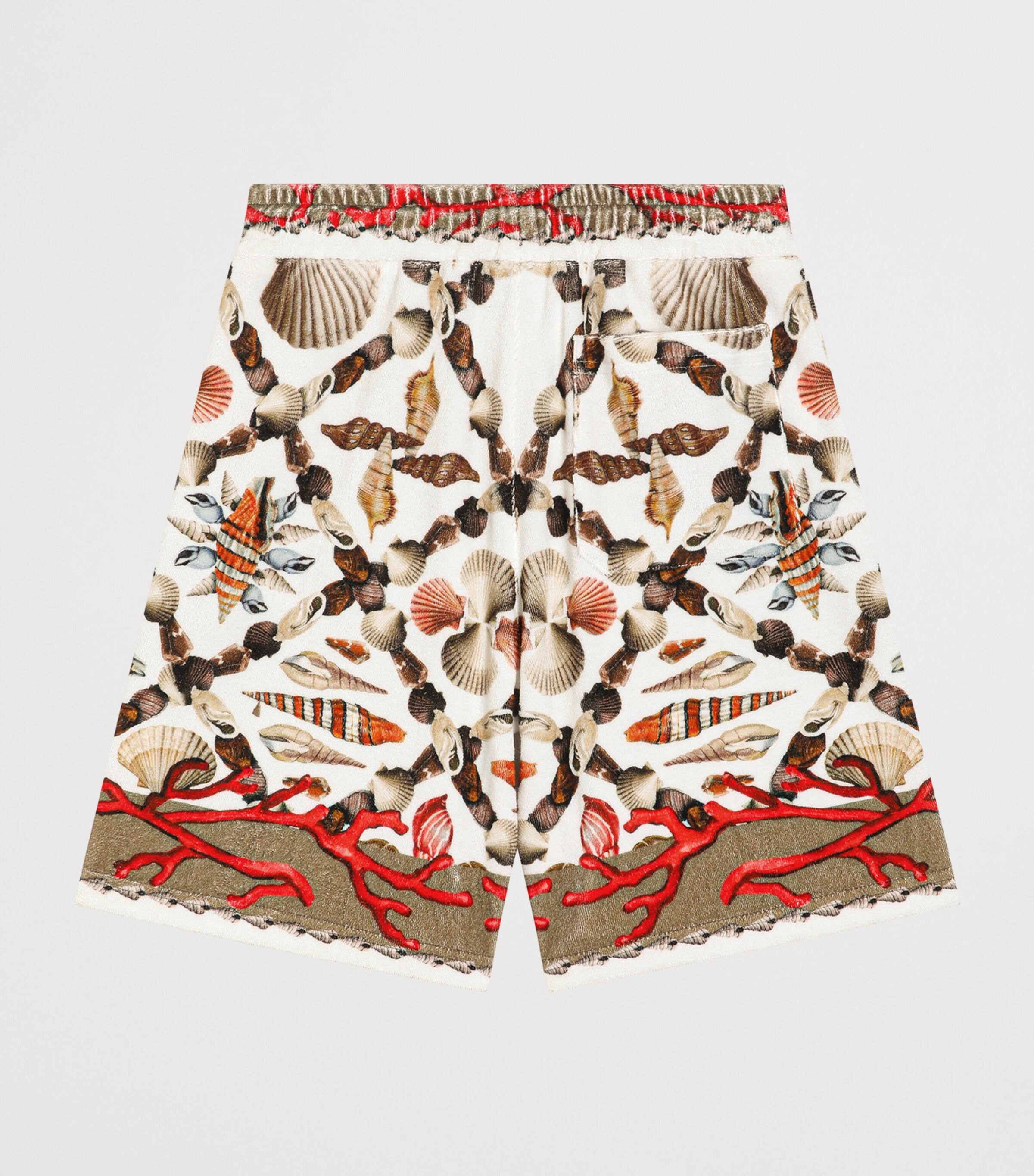 Dolce&Gabbana Kids Cotton Printed Shorts (8-12+ Years) Conchiglie Image 2