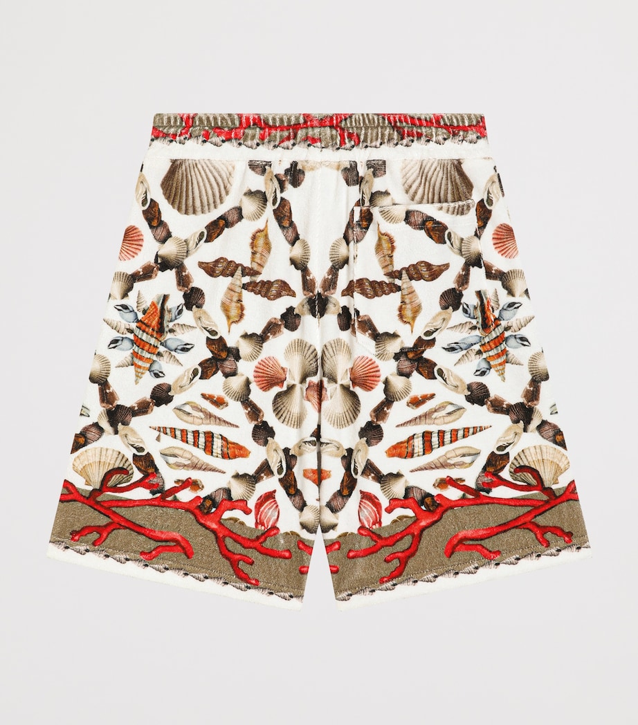 Dolce&Gabbana Kids Cotton Printed Shorts (8-12+ Years) Conchiglie Image 2