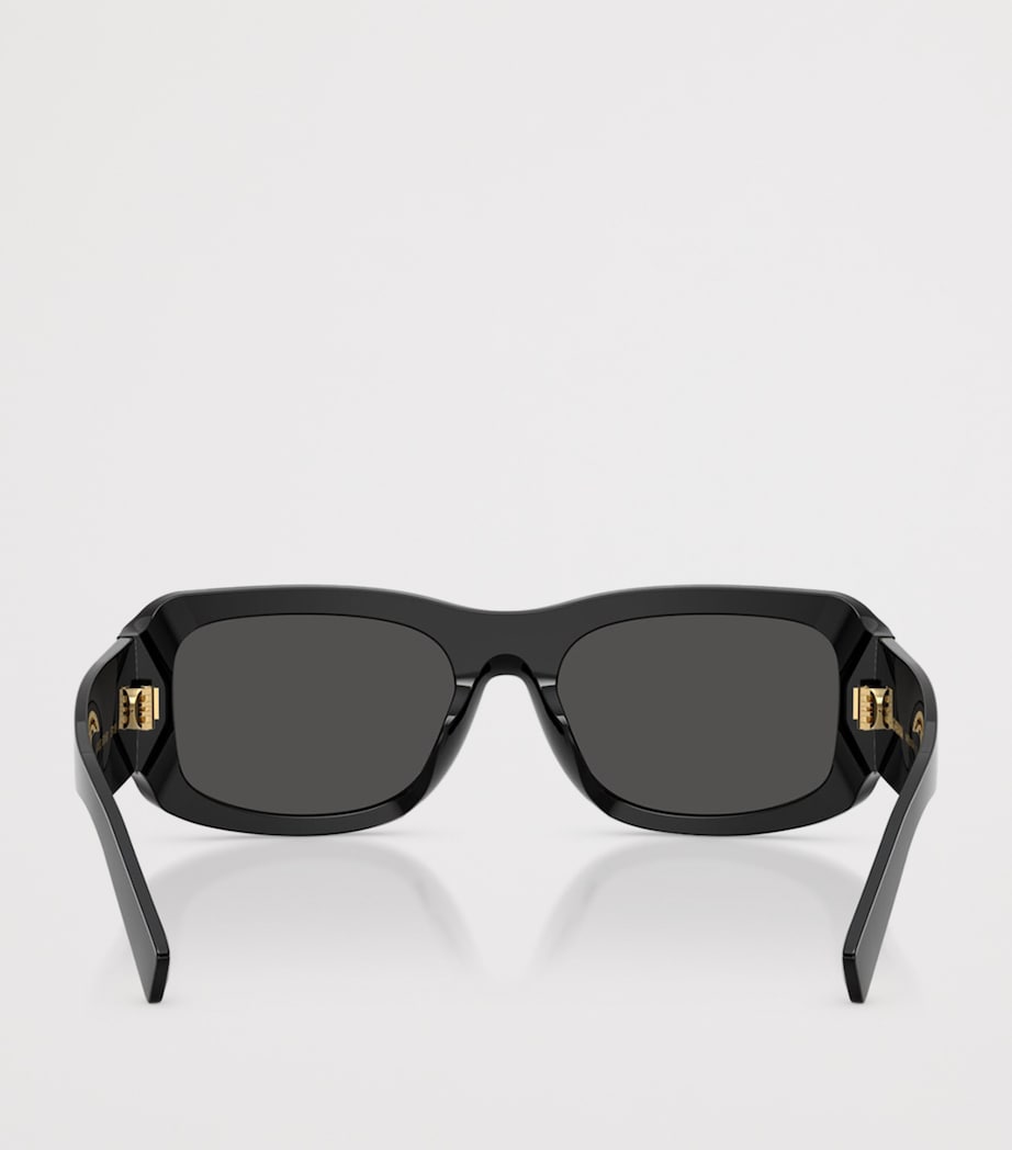 Acetate Rectangle Sunglasses 501/87 Image 4