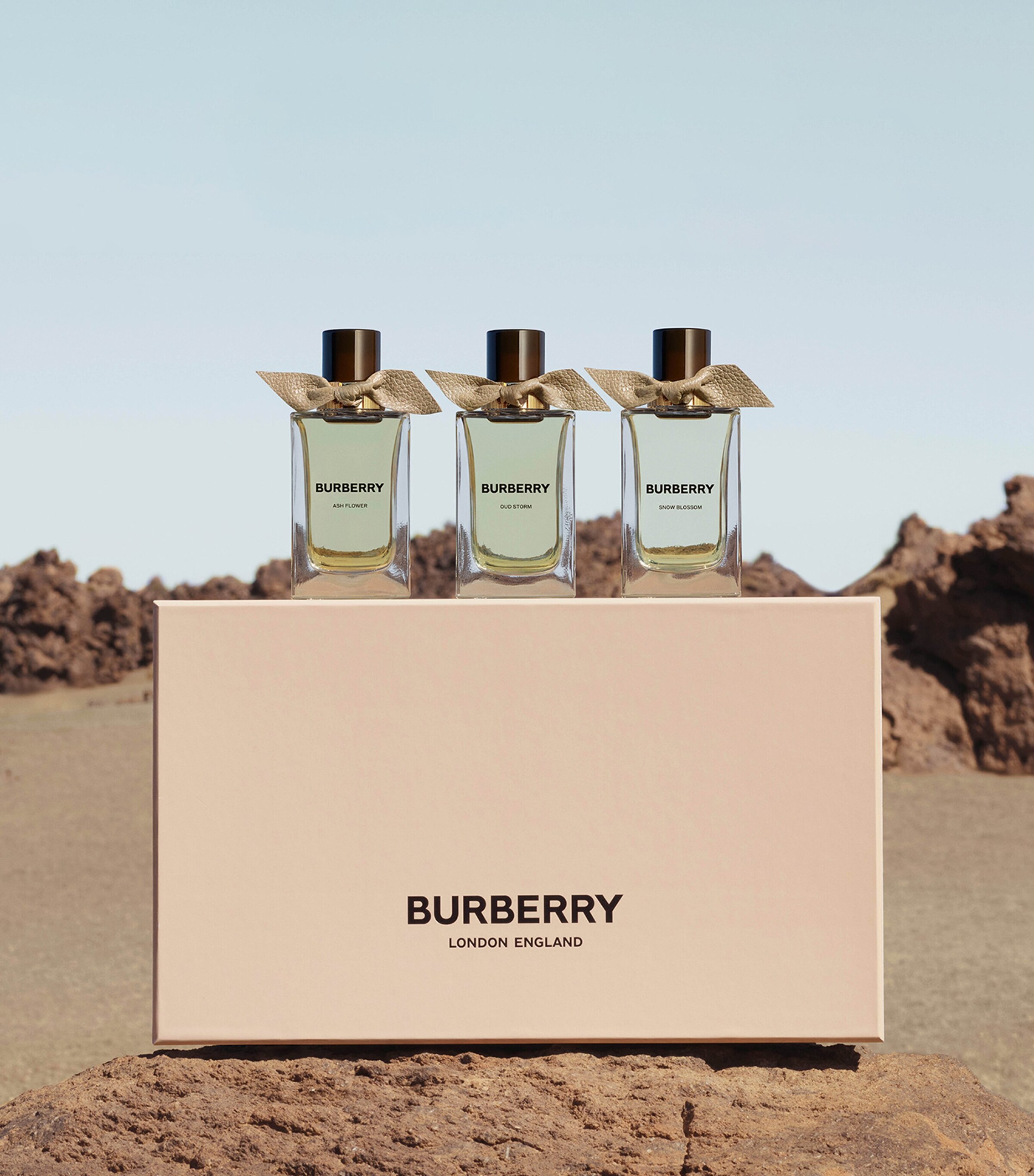 Burberry Botanicals Ash Flower Eau de Parfum (100ml) Image 6