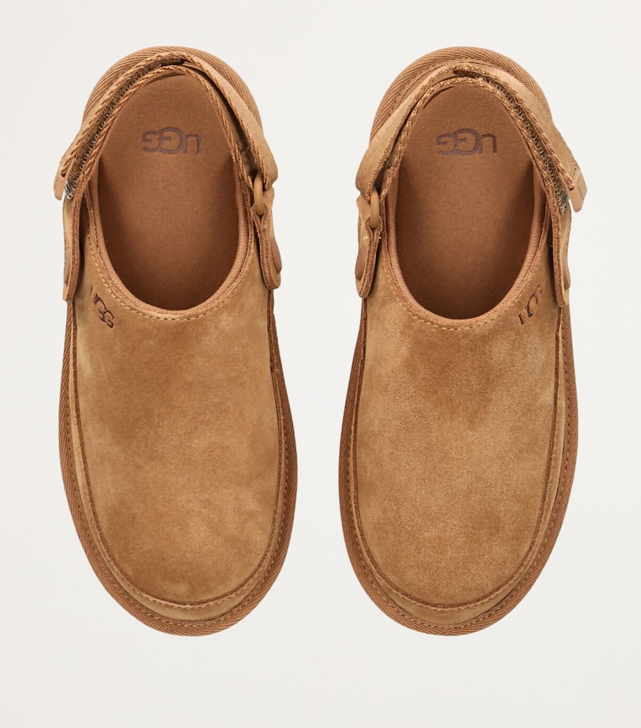 Suede Goldenstar Clogs BROWN Image 4