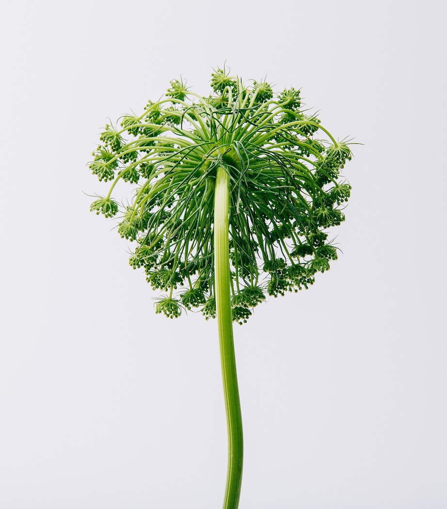 Aire Eau de Toilette (100ml) NO COLOUR Image 3