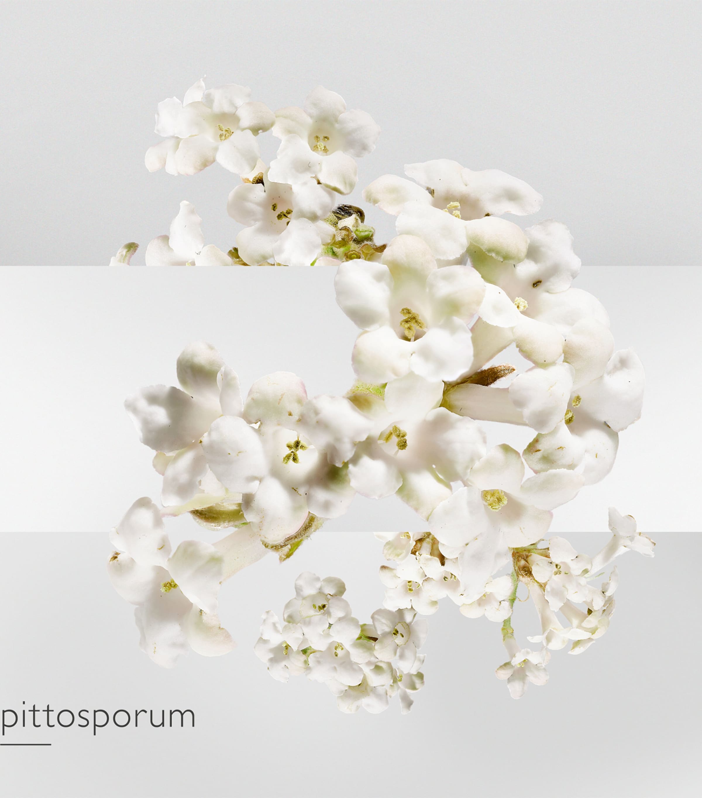 Un Jardin Sur La Lagune Eau de Toilette (100 ml) NO COLOUR Image 3