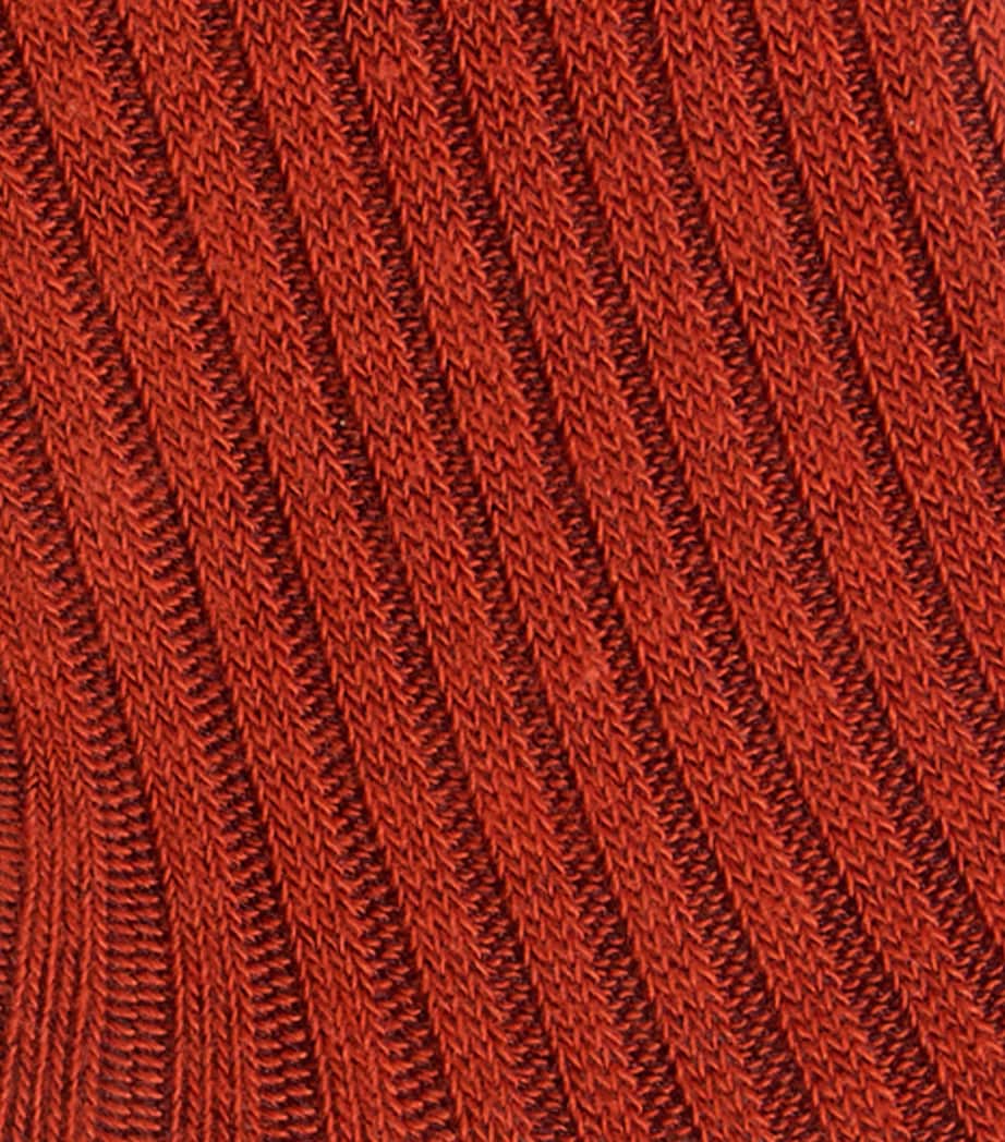 Cotton Ribbed Socks ECUREUIL Image 2