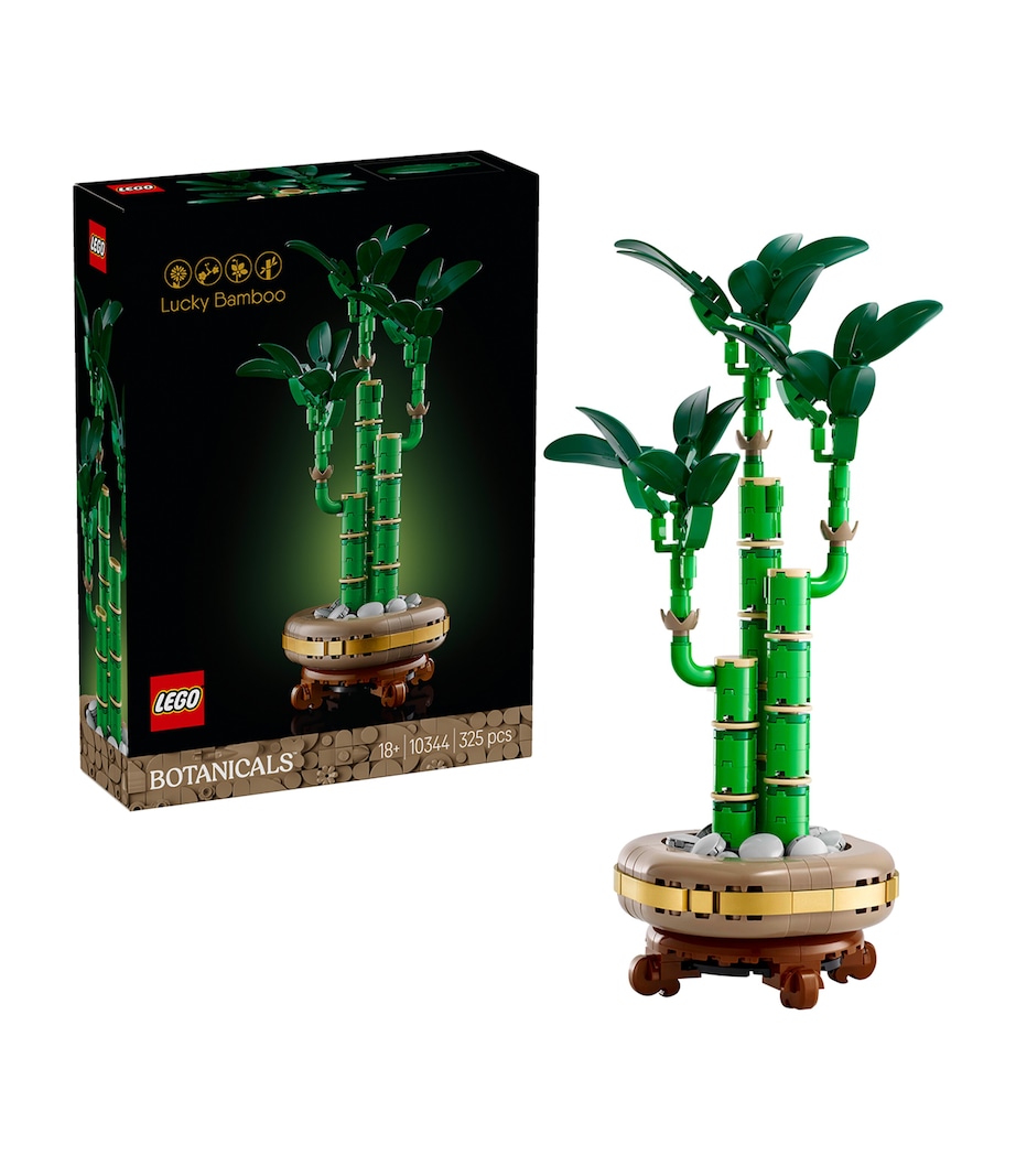 Botanical Collection Lucky Bamboo 10344 MULTI Image 2