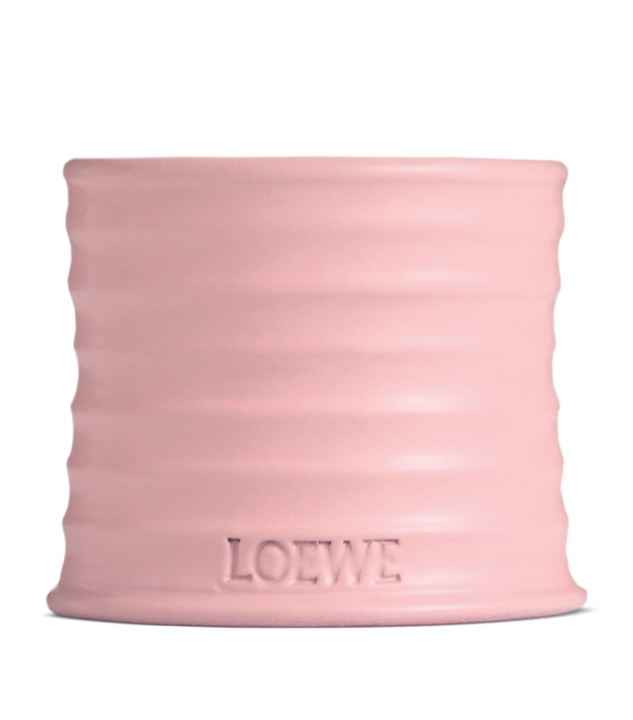 Loewe Small Ivy Candle In Pink