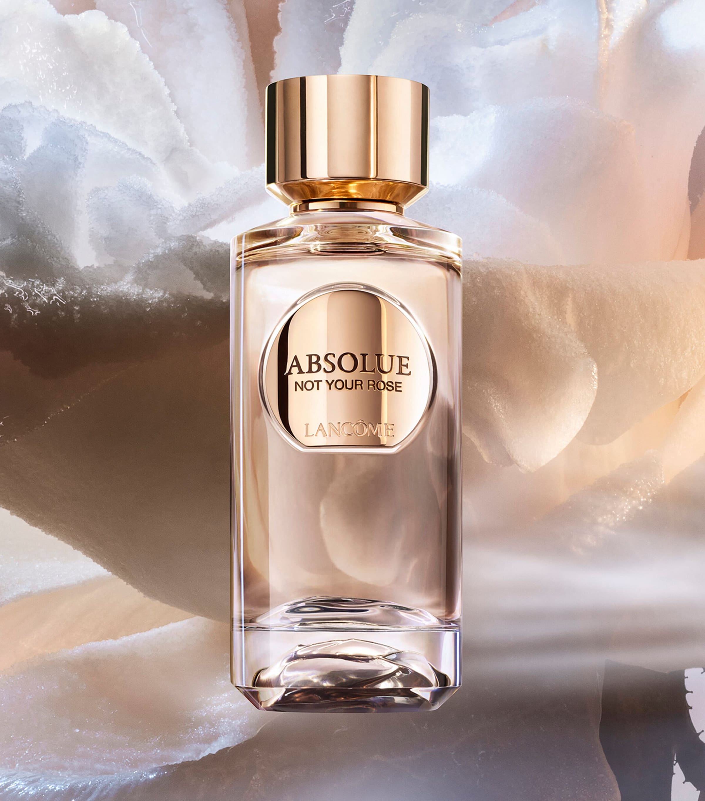 Absolue Not Your Rose Eau de Parfum (100ml) NO COLOUR Image 3