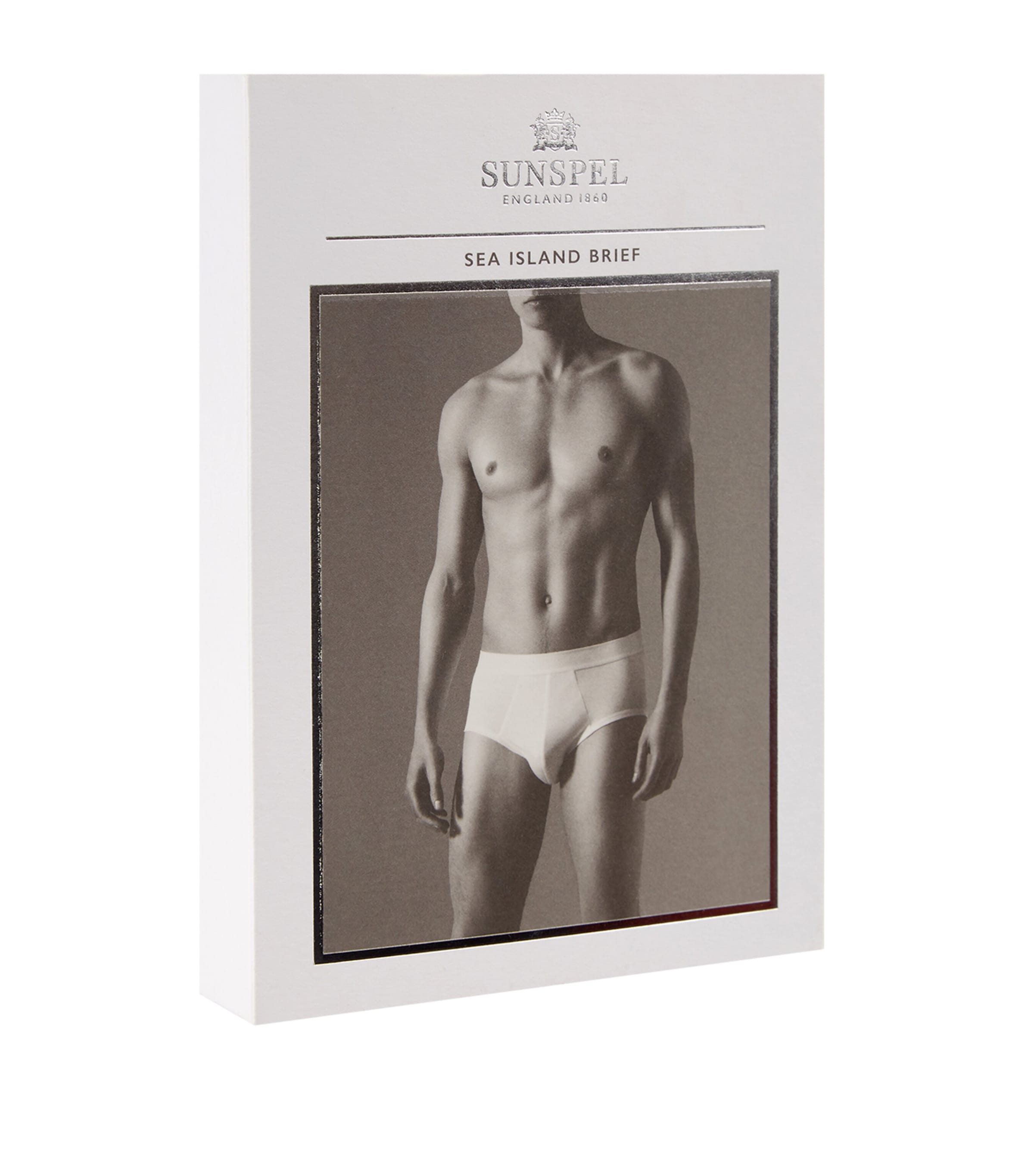 Sea Island Cotton Briefs WHITE Image 3
