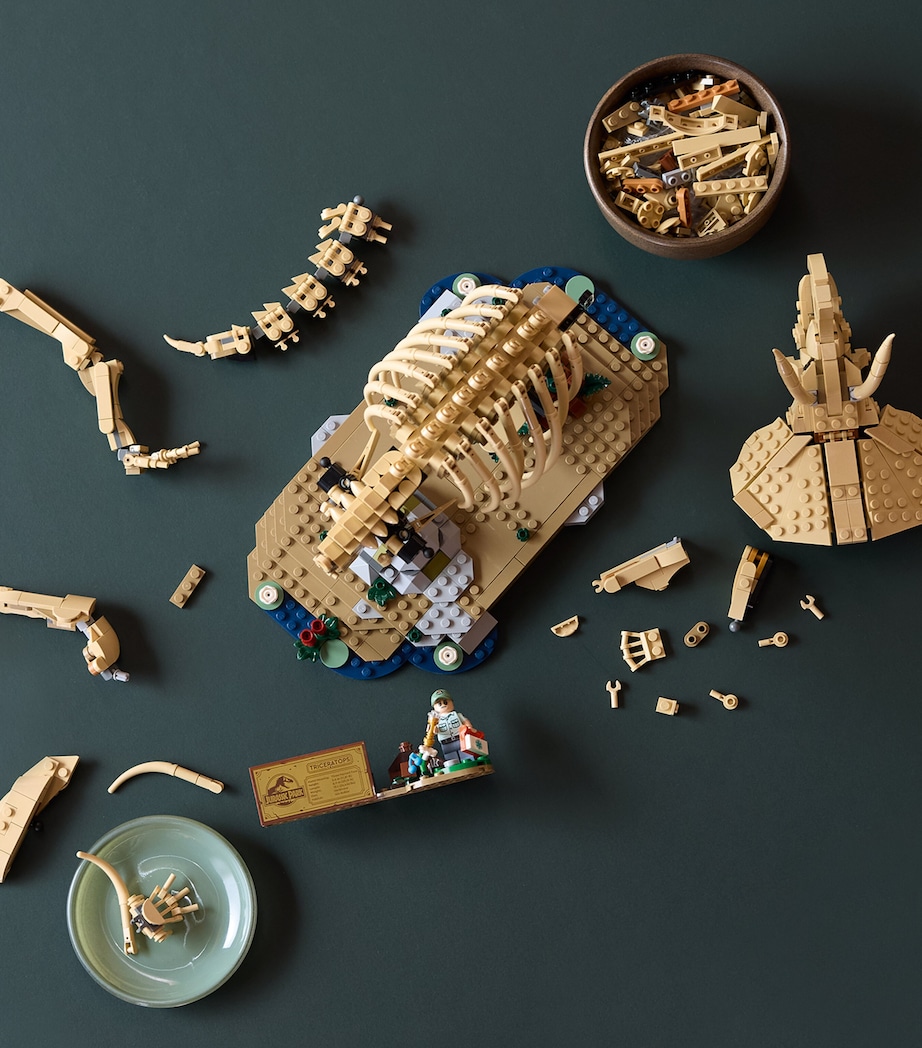 Lego Jurassic World Dinosaur Fossils: Triceratops 77985 Image 3