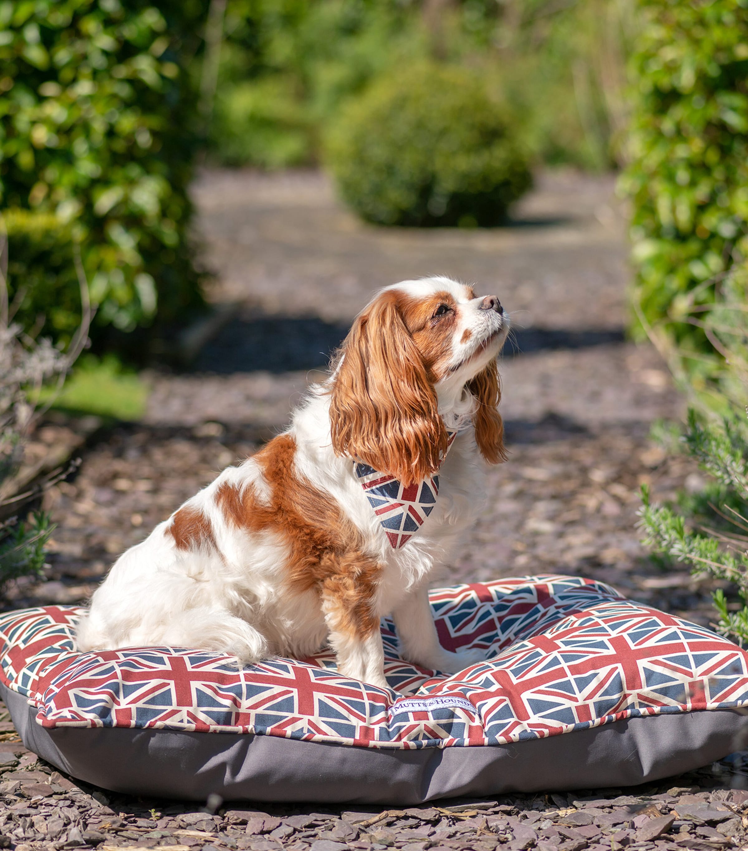 Mutts And Hounds Union Jack Pillow Dog Bed (Medium) Red/blue/cream Image 2