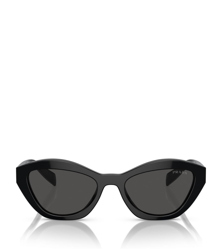 Cat-Eye Sunglasses 16K08Z Image 1