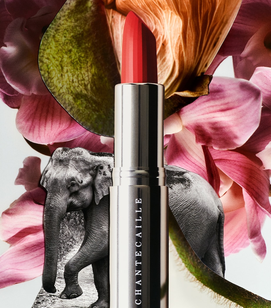 Lip Crème Lipstick BAMBOO Image 2