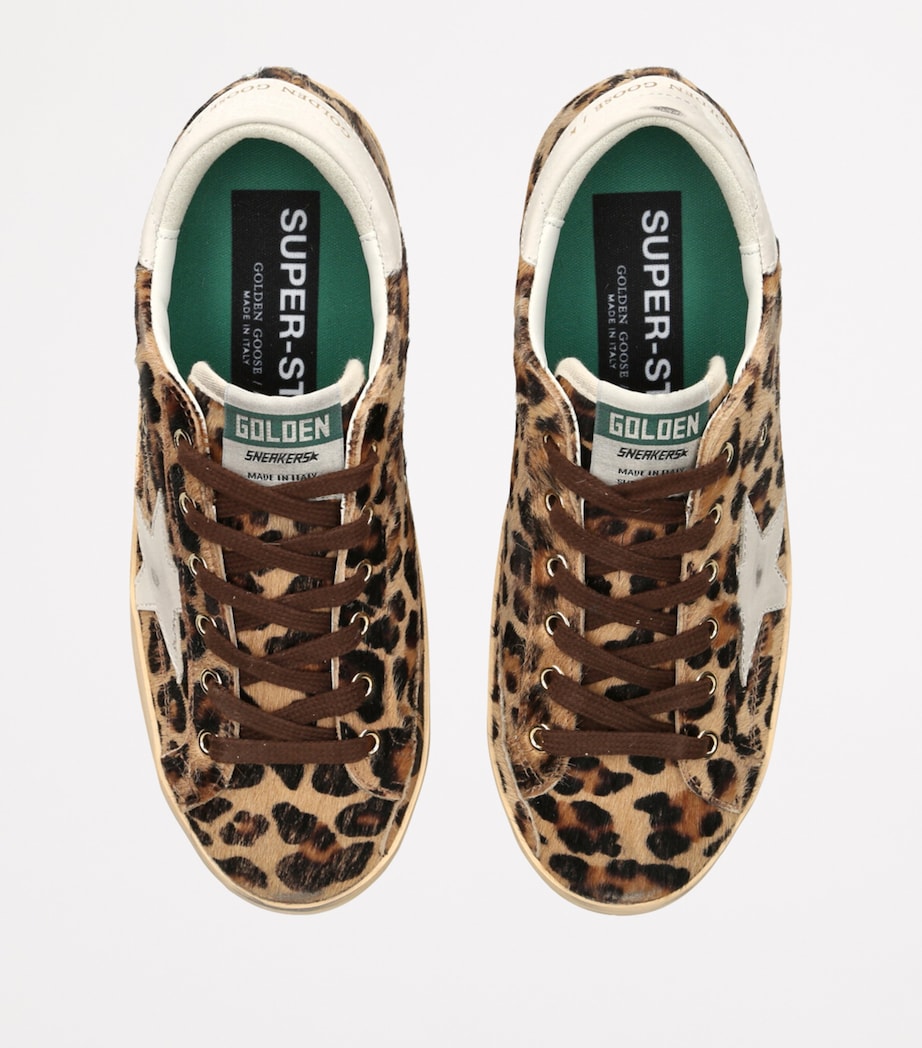 Pony Skin Leopard Print Super-Star Sneakers BROWN/OTH Image 4