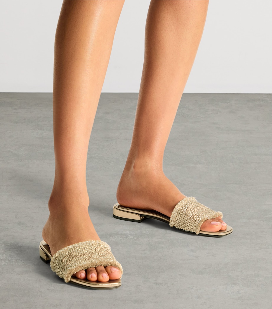 Jimmy Choo Joa Flat Slides Gold/dark Cappuccino Image 2