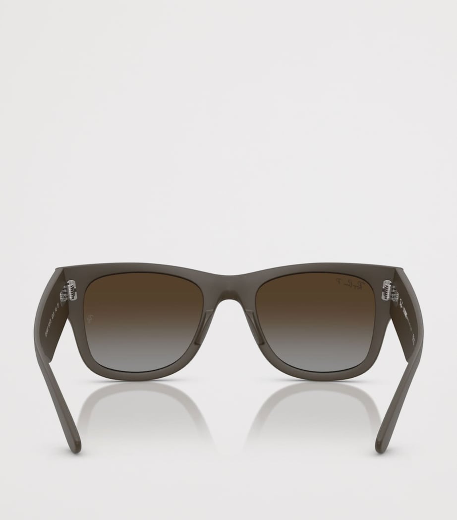Ray-Ban Mega Wayfarer Liteforce Sunglasses Brown Image 4