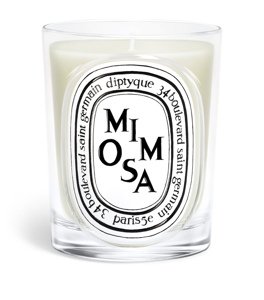 Diptyque Mimosa Candle (190g) Image 1