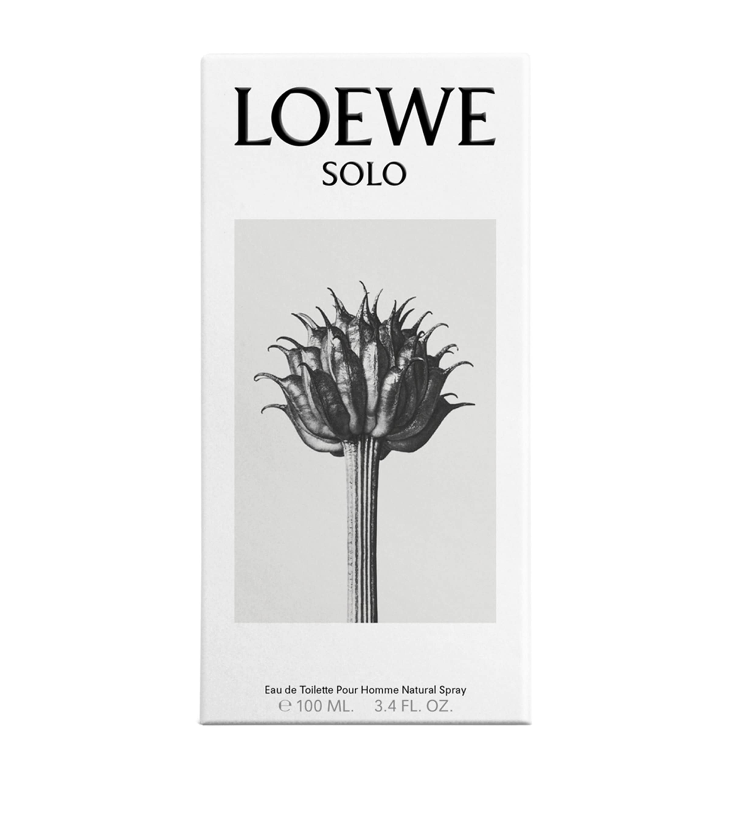LOEWE Solo Eau de Toilette (100ml) | Harrods US