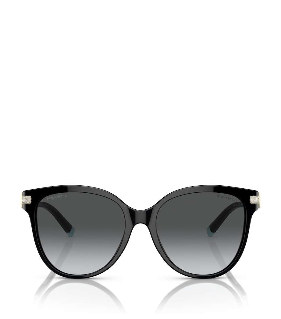 Acetate Round Oversized Sunglasses 8001T3 Image 1