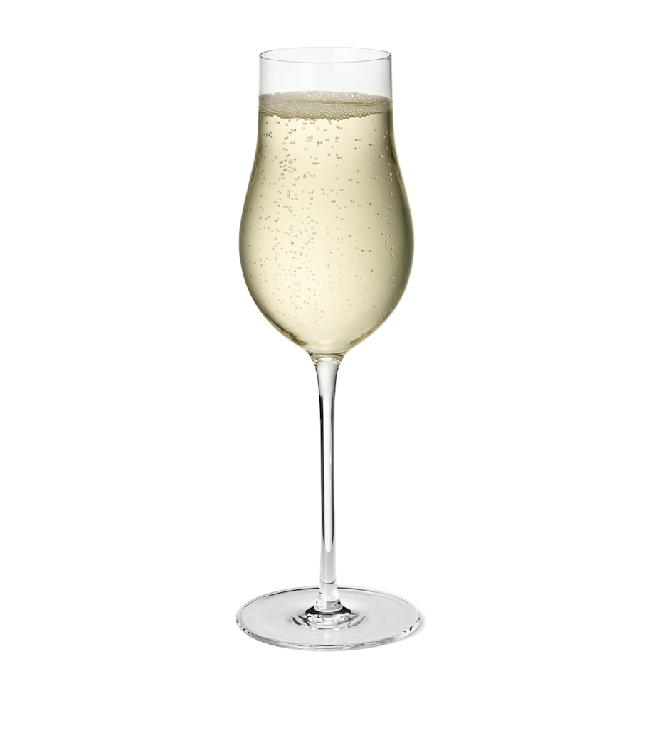 Set of 4 Sky Champagne Flutes (250ml) CLEAR Image 3