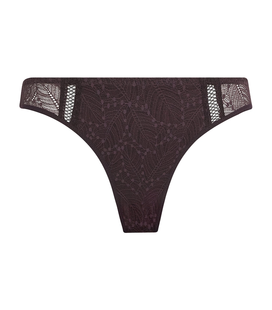 Lace Comète Bikini Briefs 429 DARK BROWN Image 1