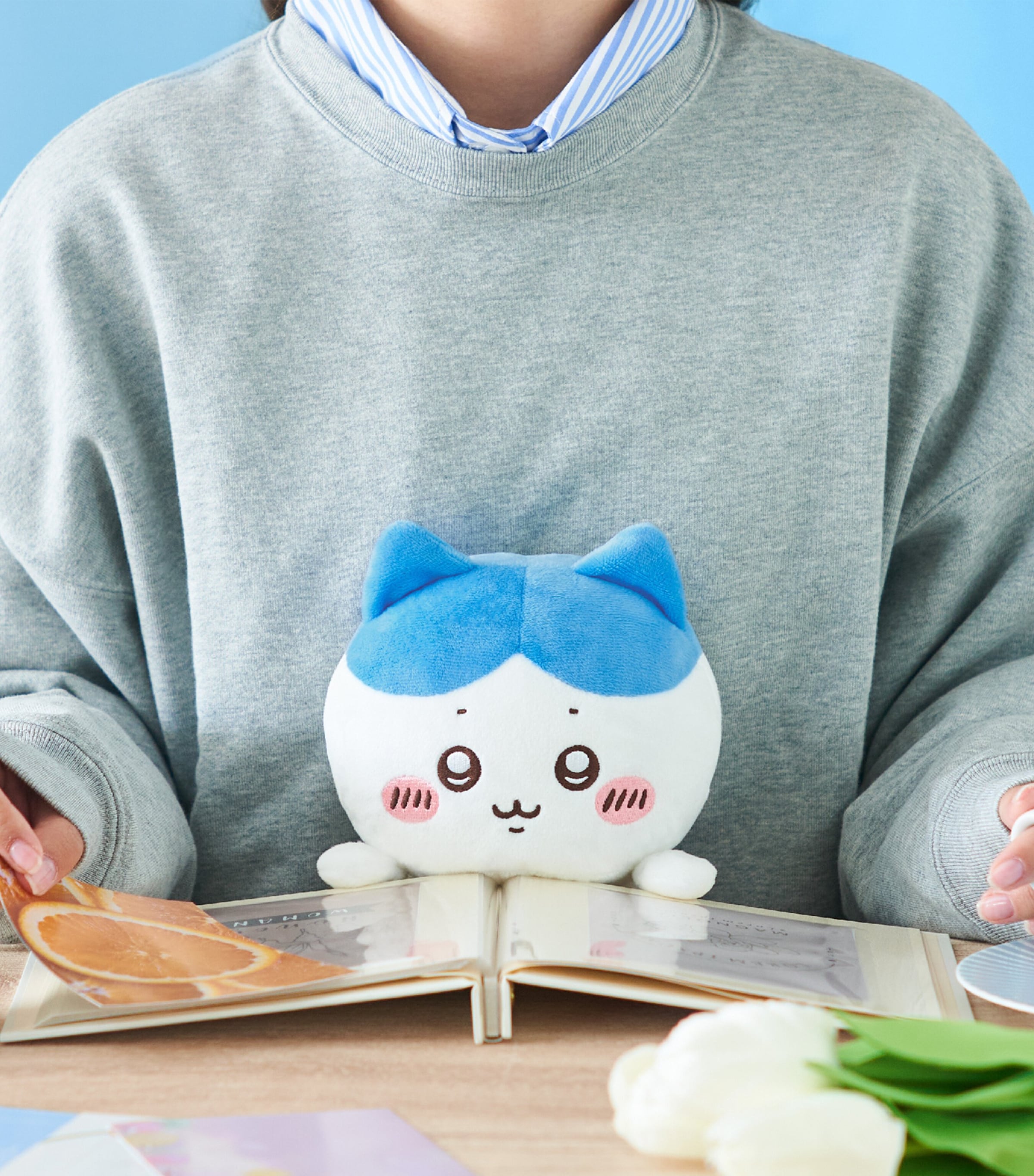 Chiikawa Hachiware Posture Pal (20cm) Image 2