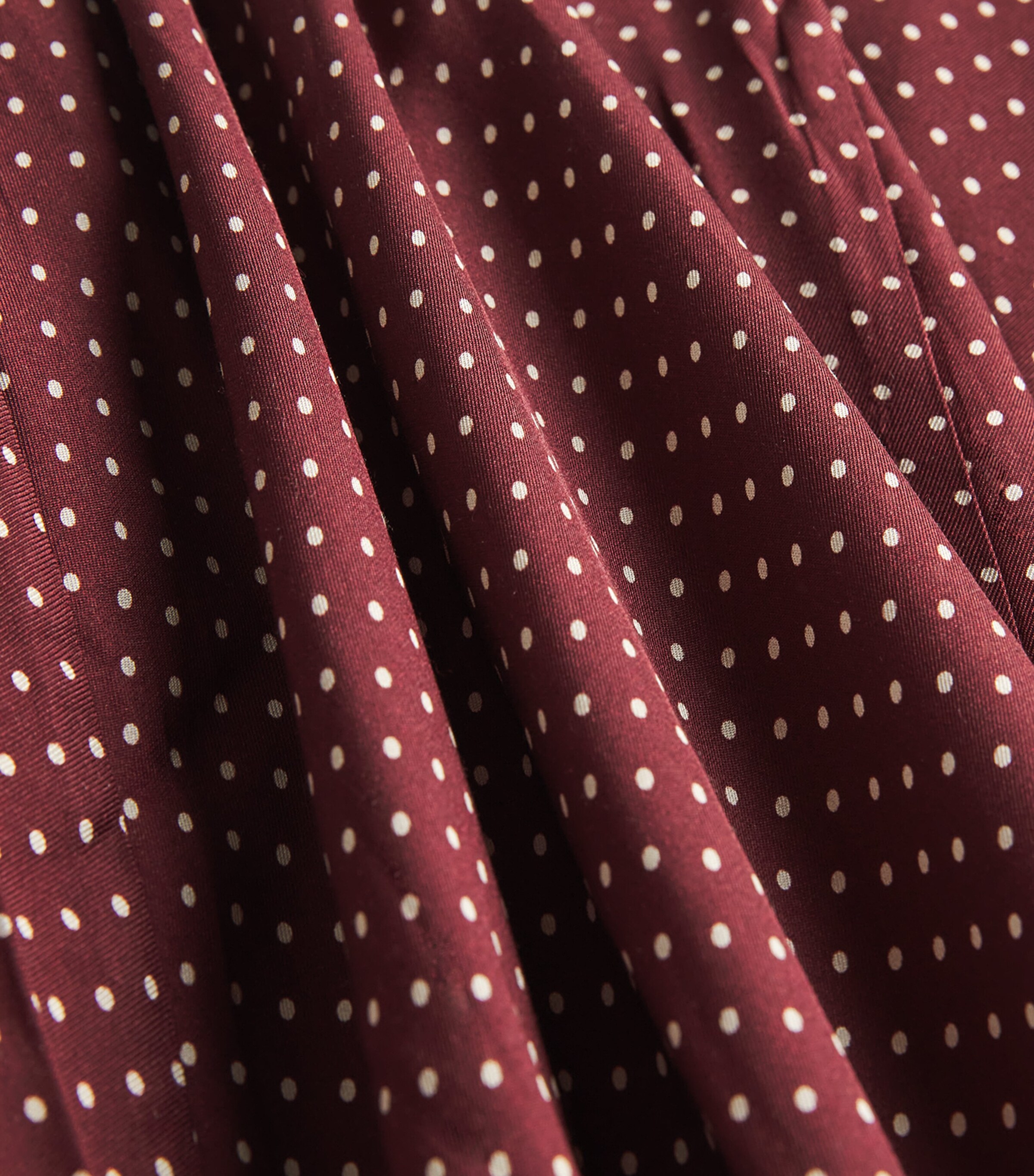 Silk-Blend Rosaria Maxi Dress BURGANDY COLETTE DOT Image 5