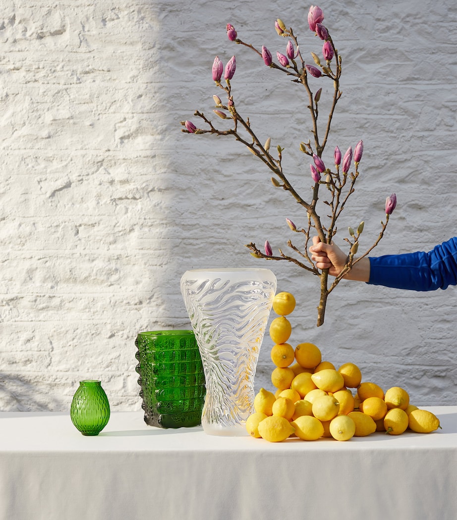 Small Crystal Plumes Vase (15cm) VERT PRAIRIE Image 2