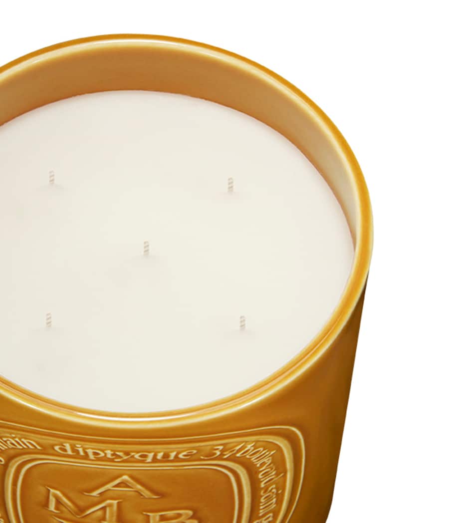 Ambre Candle (1.5kg) NO COLOUR Image 3